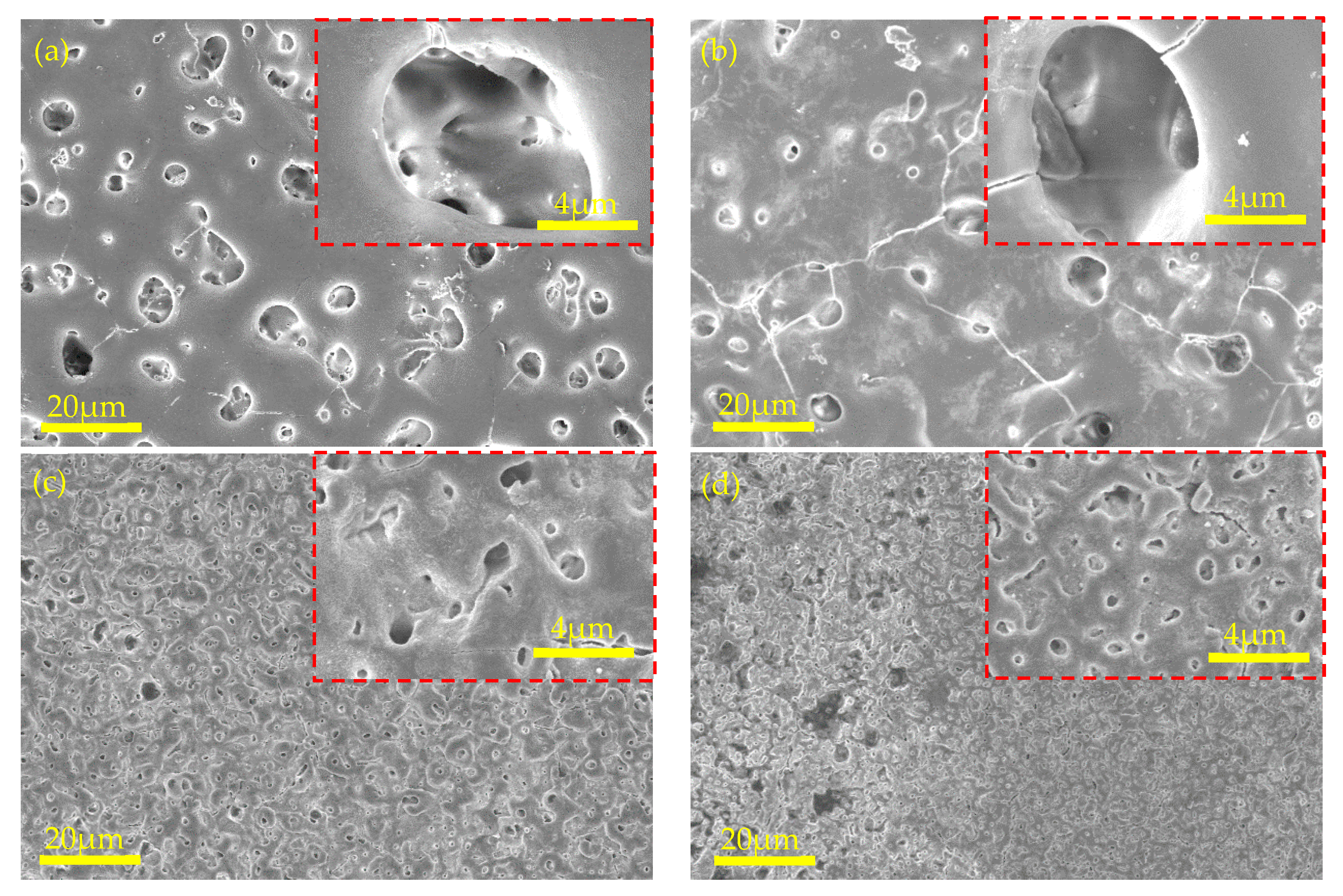 Coatings 13 01370 g005