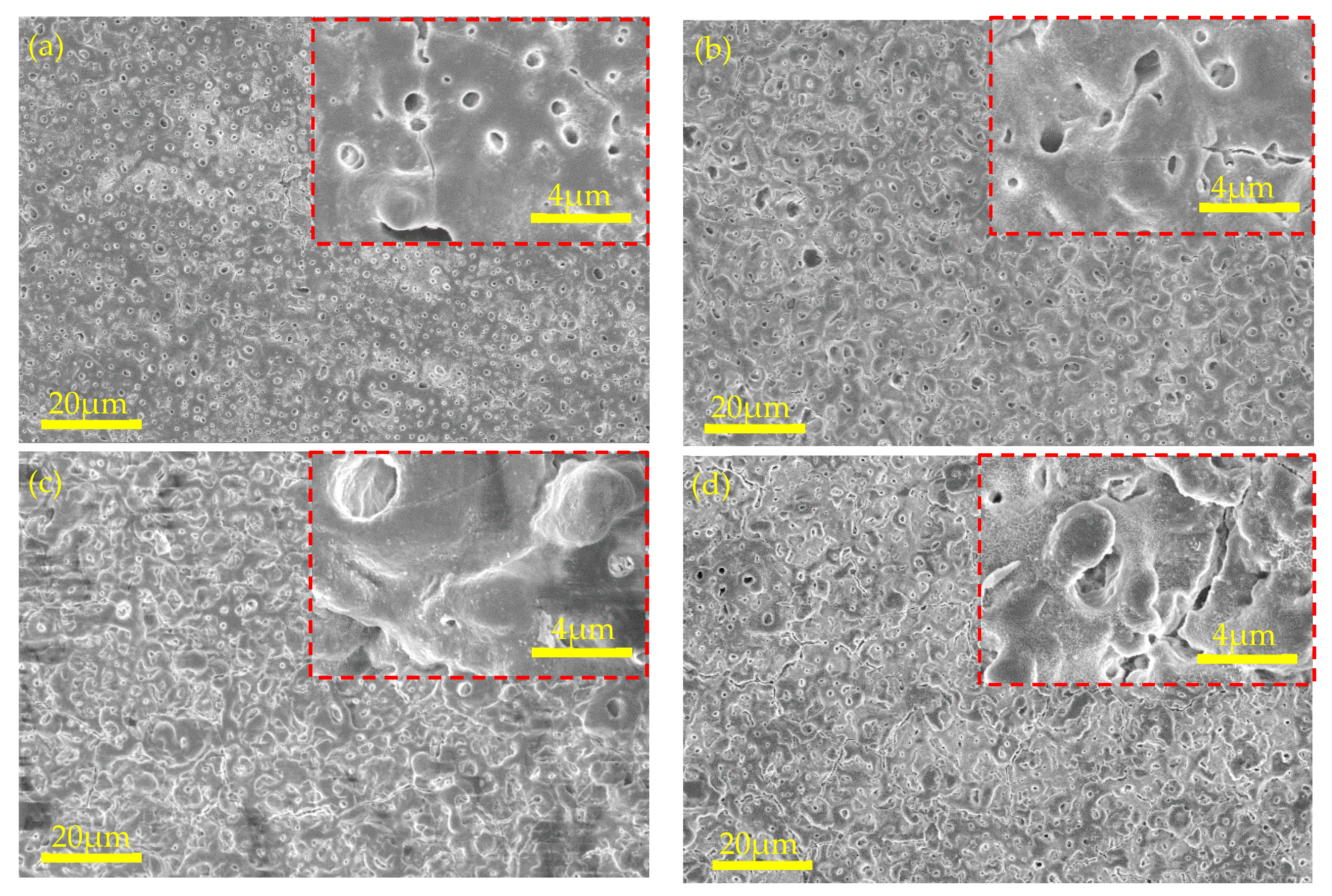 Coatings 13 01370 g006
