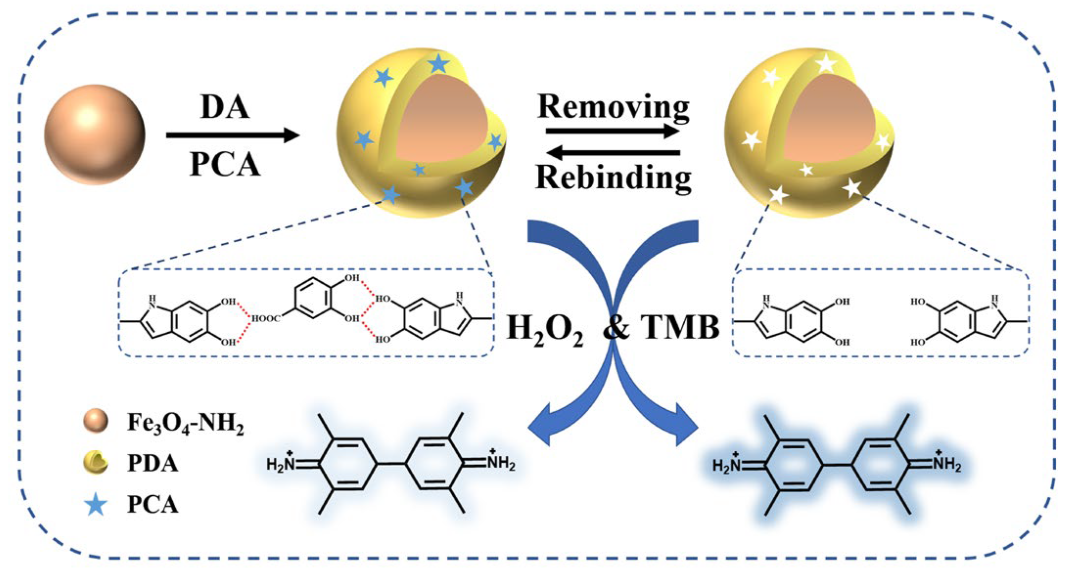 Coatings 13 01374 g001