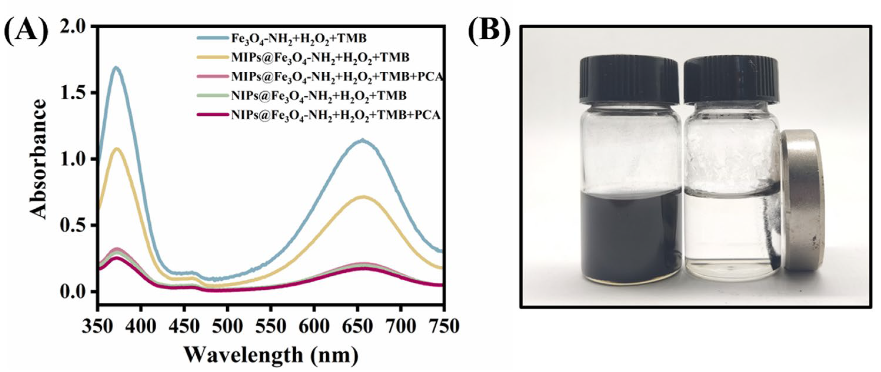 Coatings 13 01374 g004