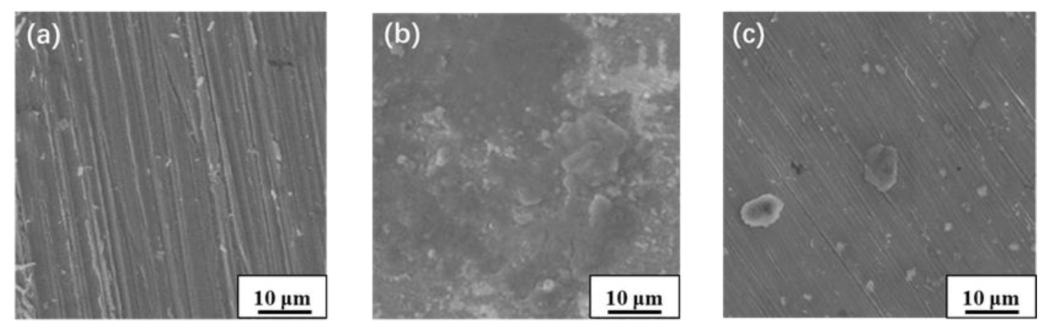 Coatings 13 01375 g002