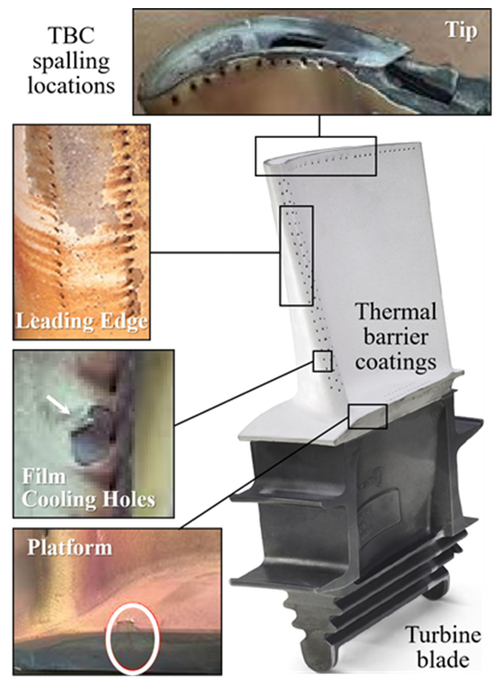 Coatings 13 01378 g001 Coatings 13 01378 g001