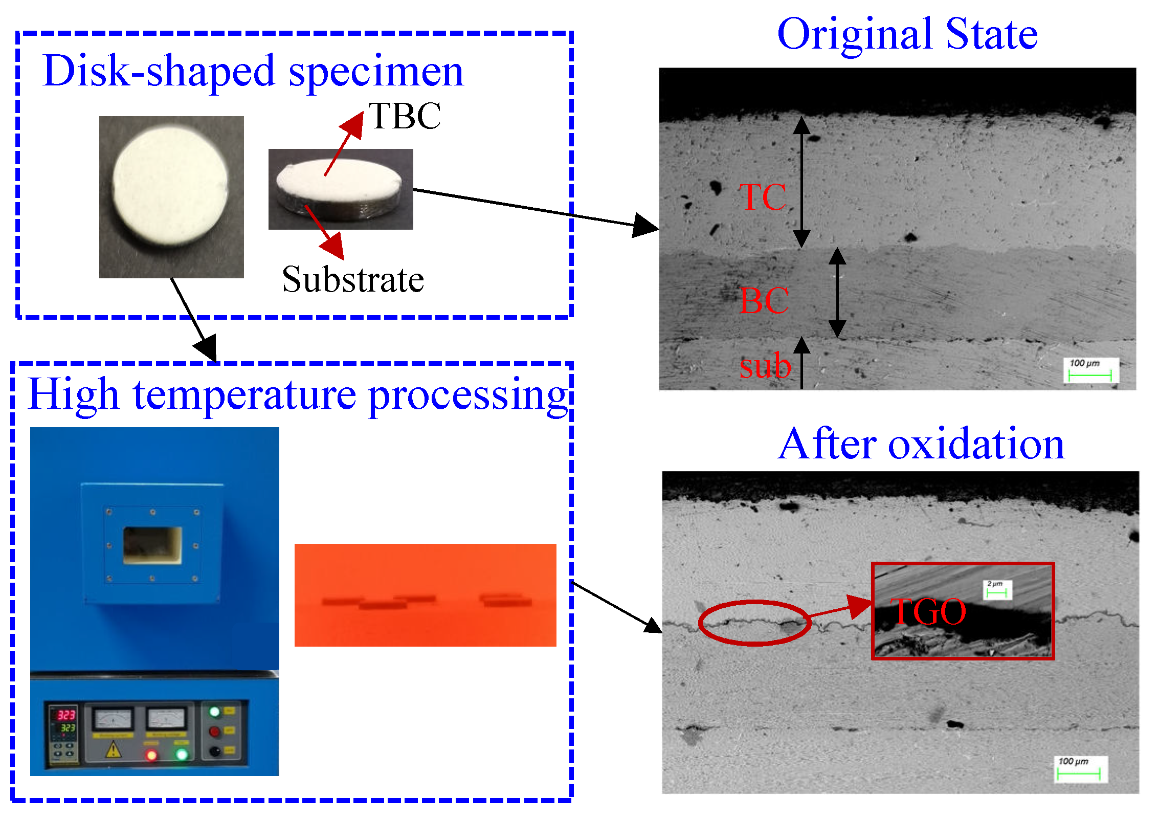 Coatings 13 01378 g002 Coatings 13 01378 g002