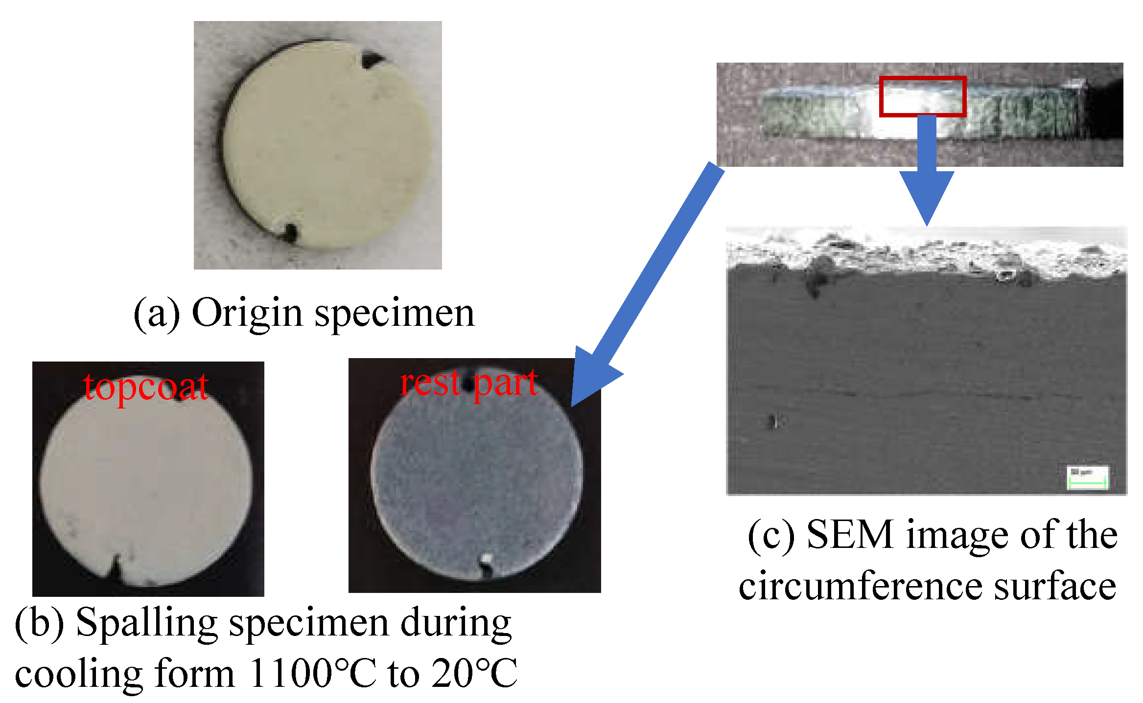Coatings 13 01378 g005 Coatings 13 01378 g005