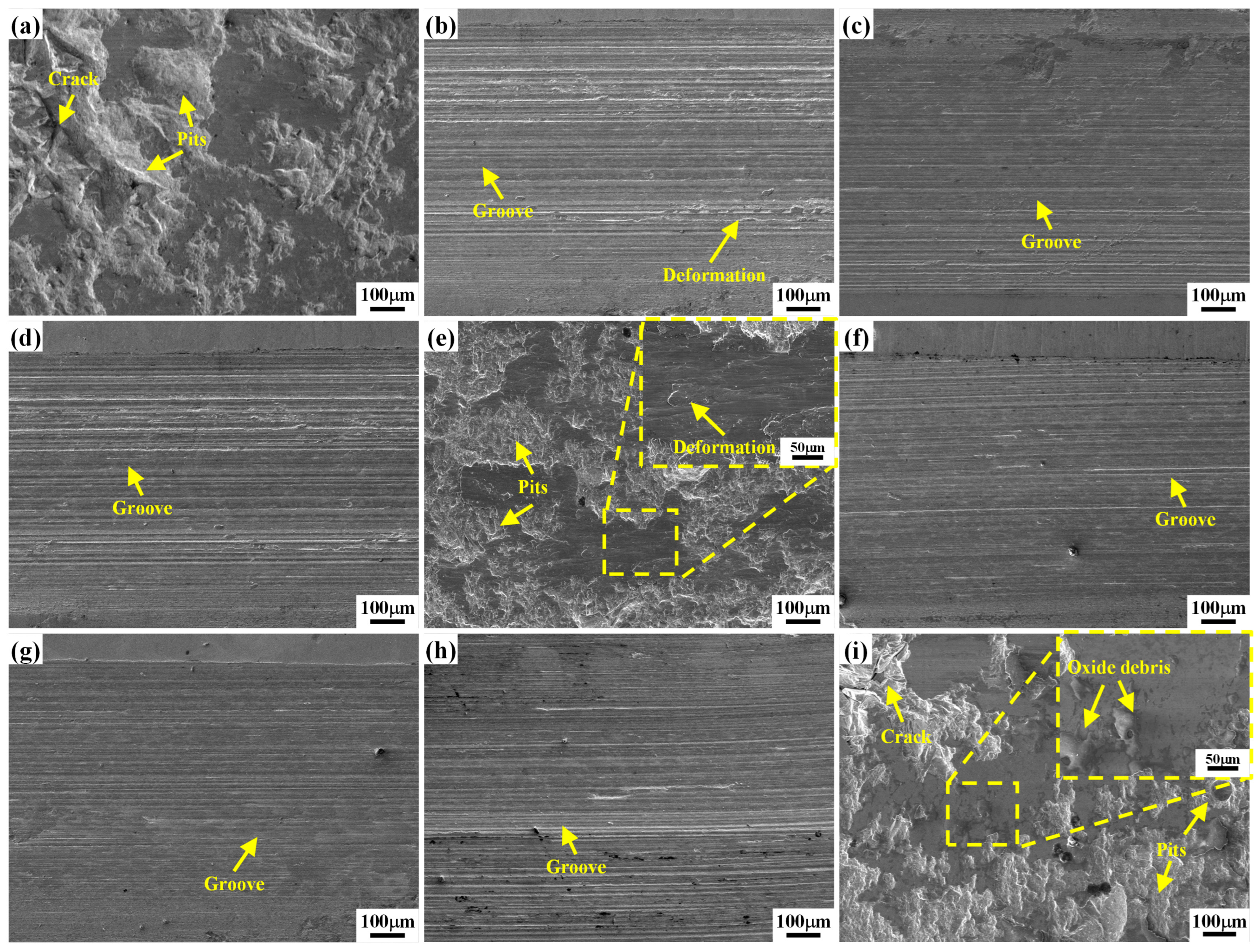 Coatings 13 01379 g011