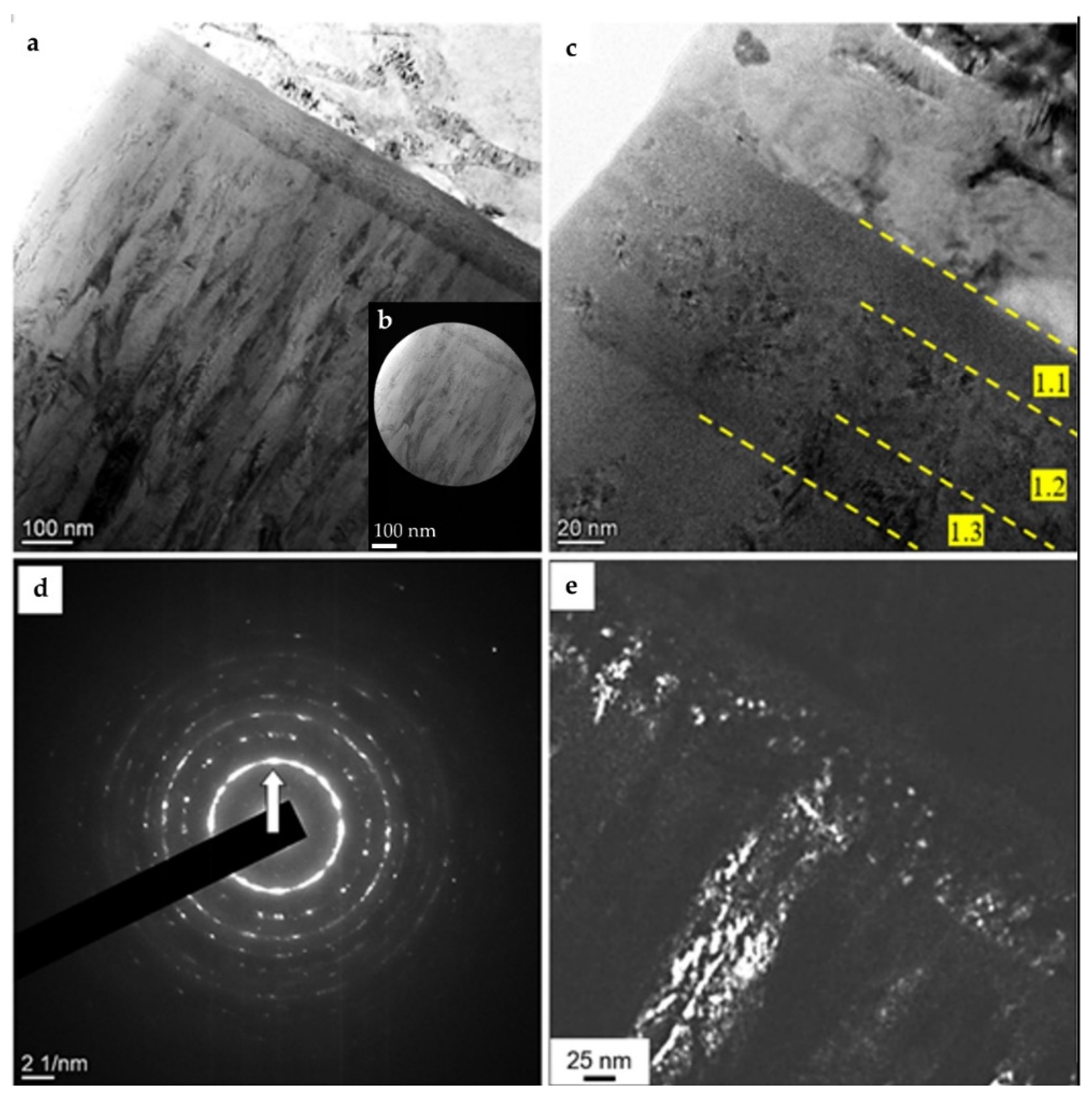 Coatings 13 01381 g005