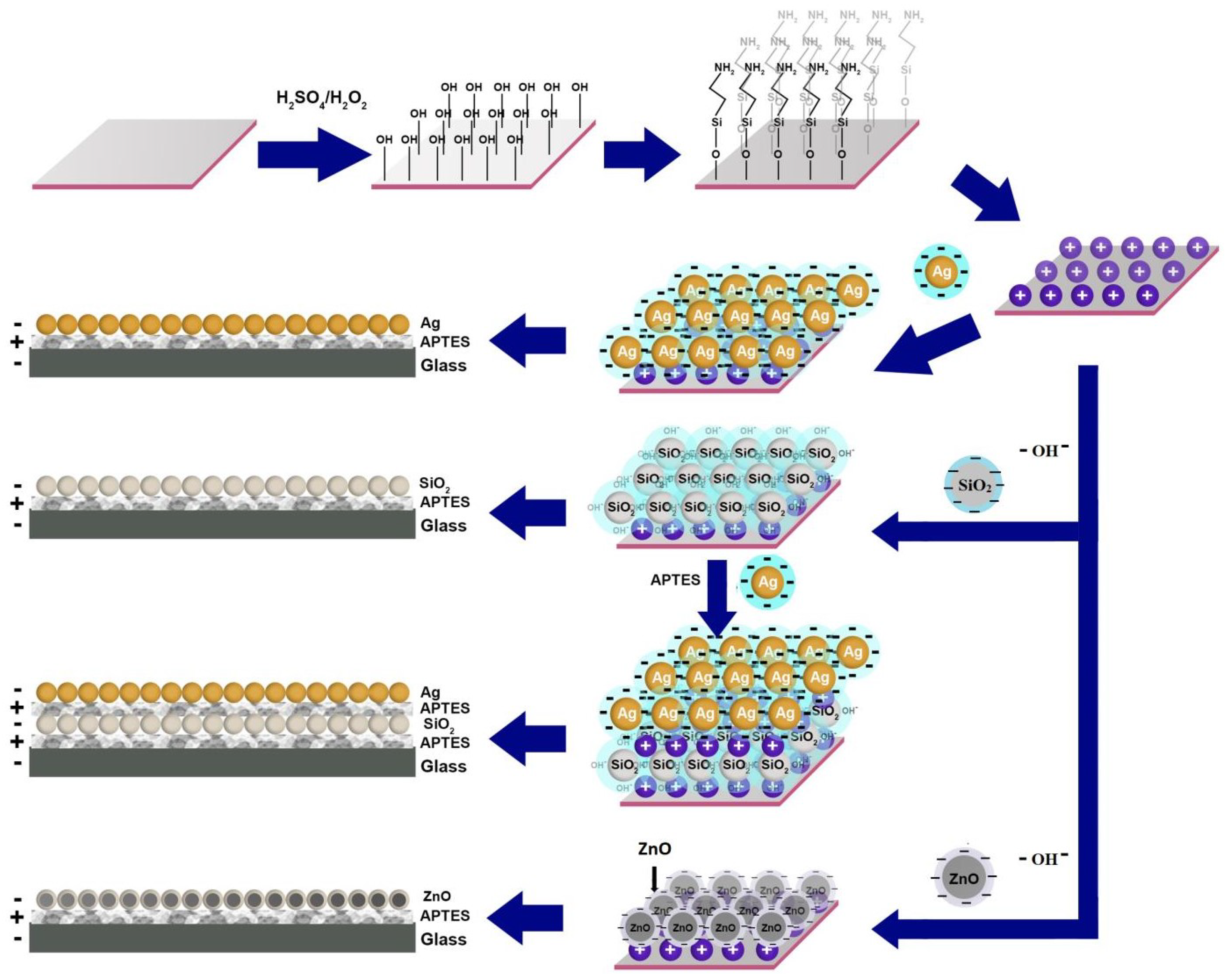 Coatings 13 01391 g002