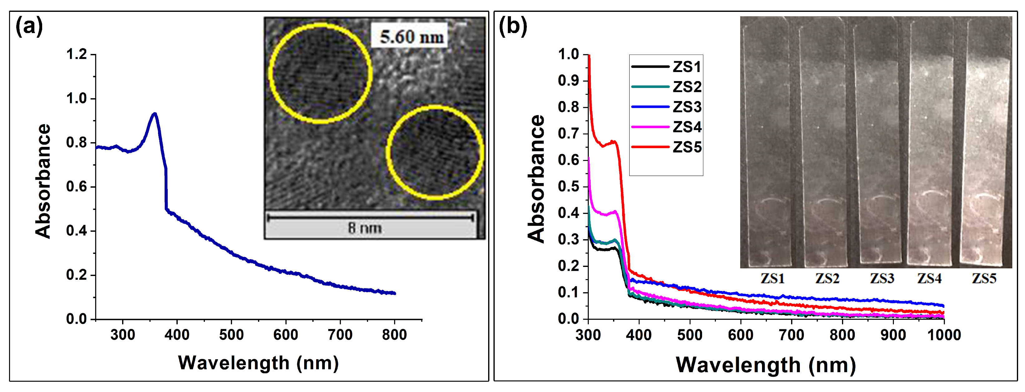 Coatings 13 01391 g008