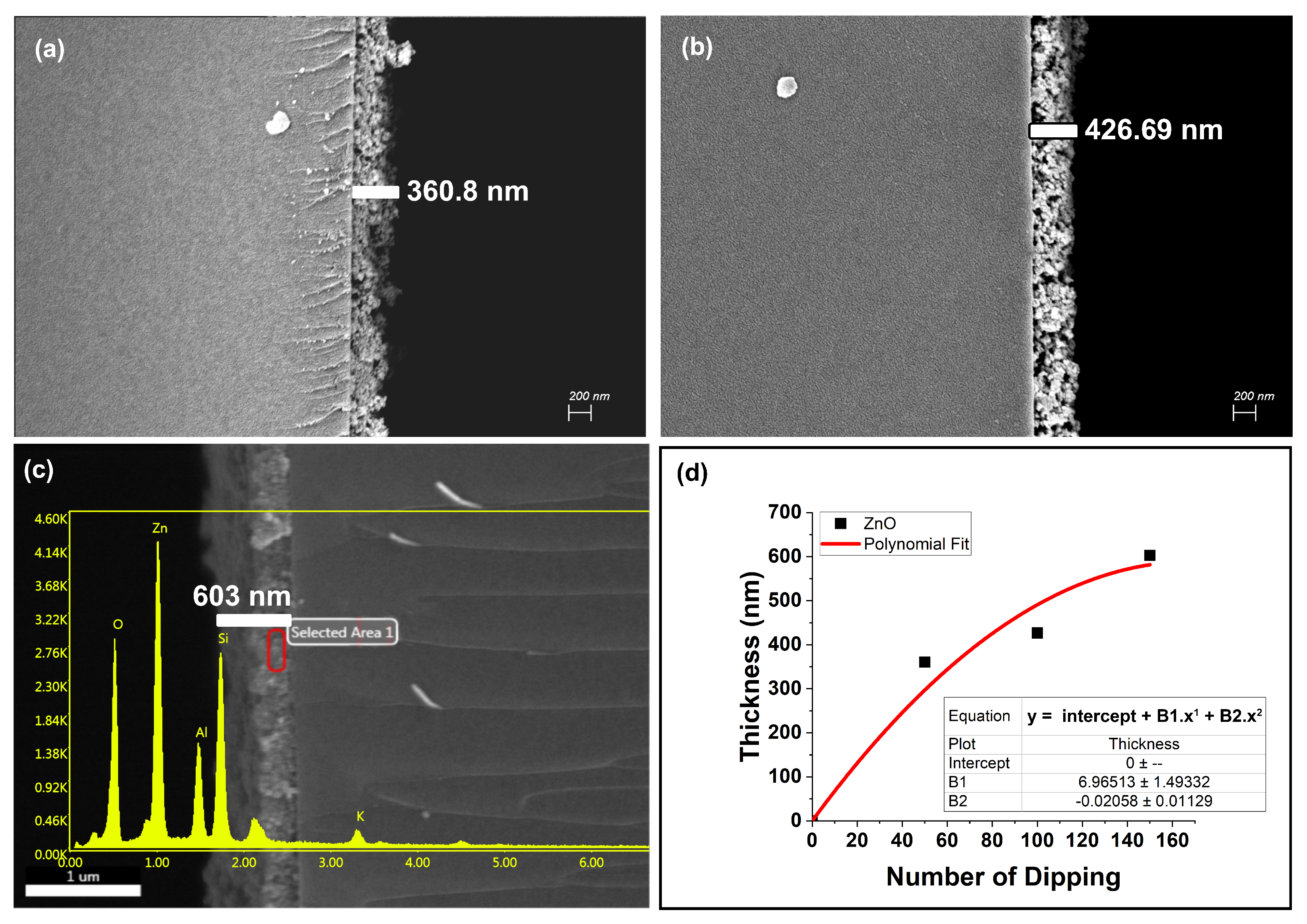 Coatings 13 01391 g009