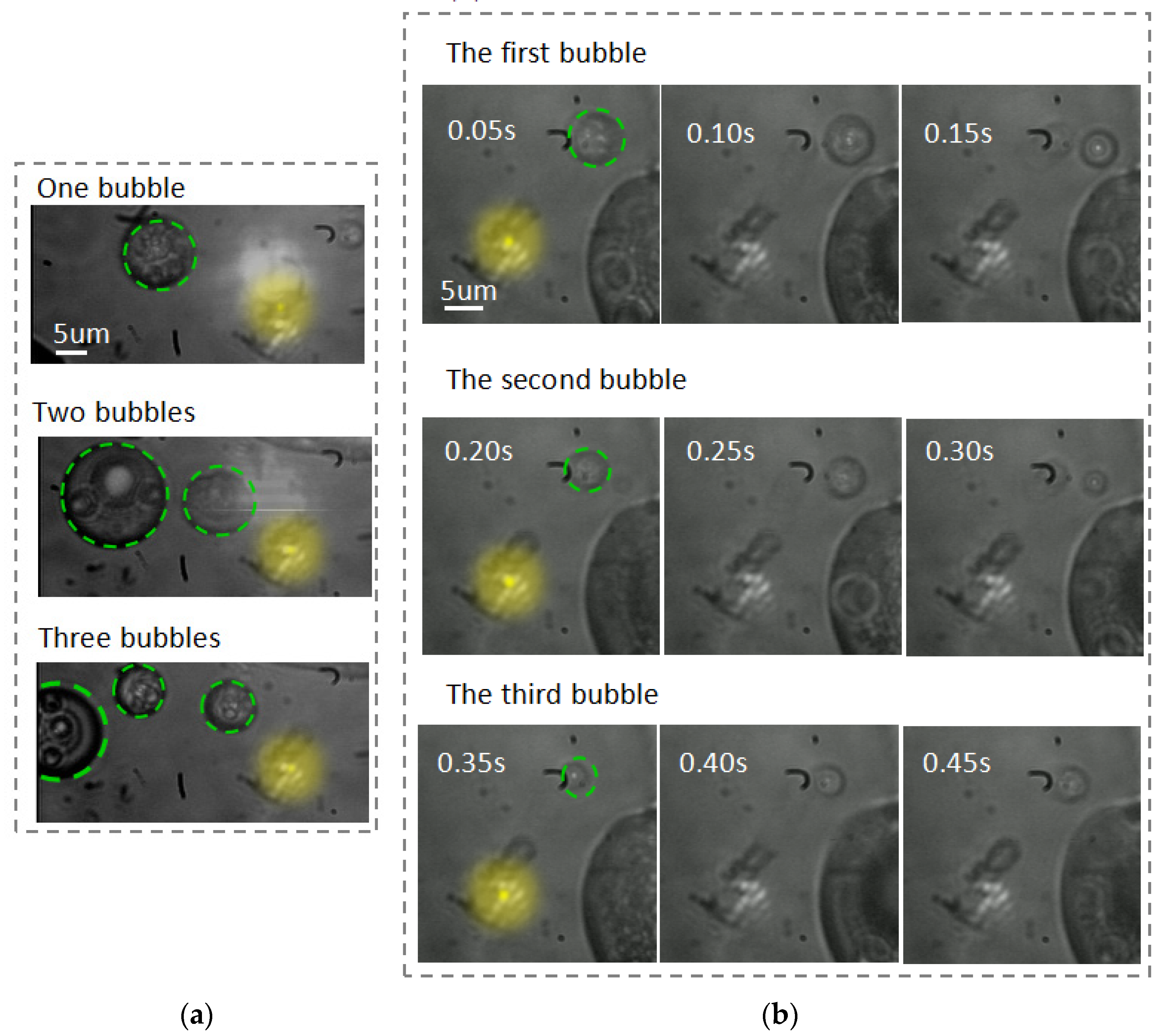 Coatings 13 01392 g006