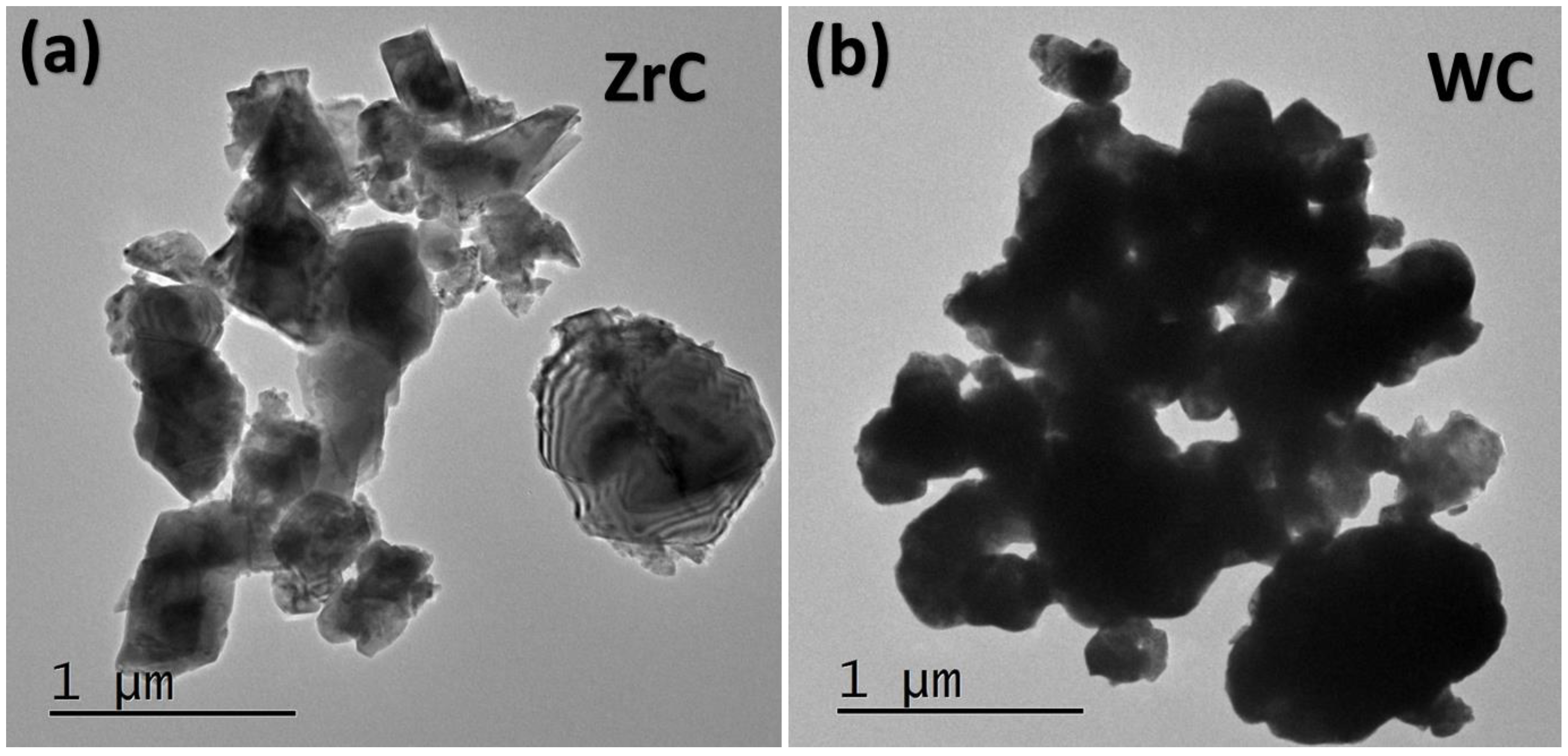 Coatings 13 01393 g001