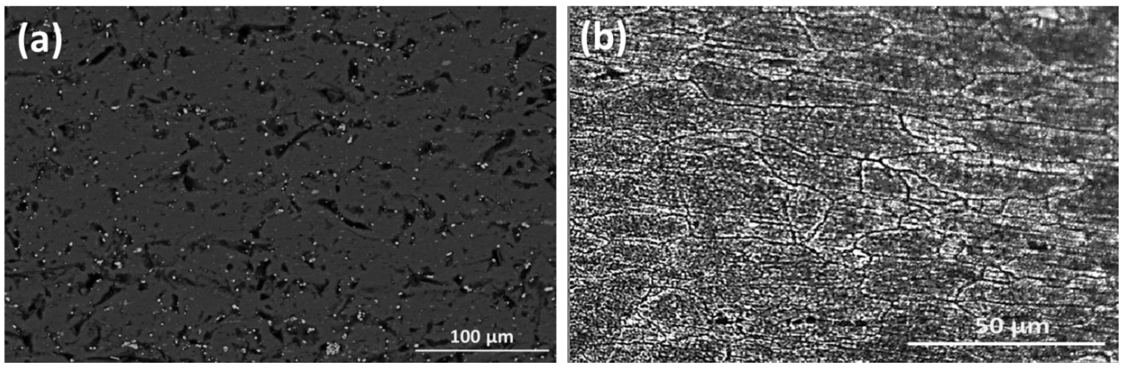 Coatings 13 01393 g004