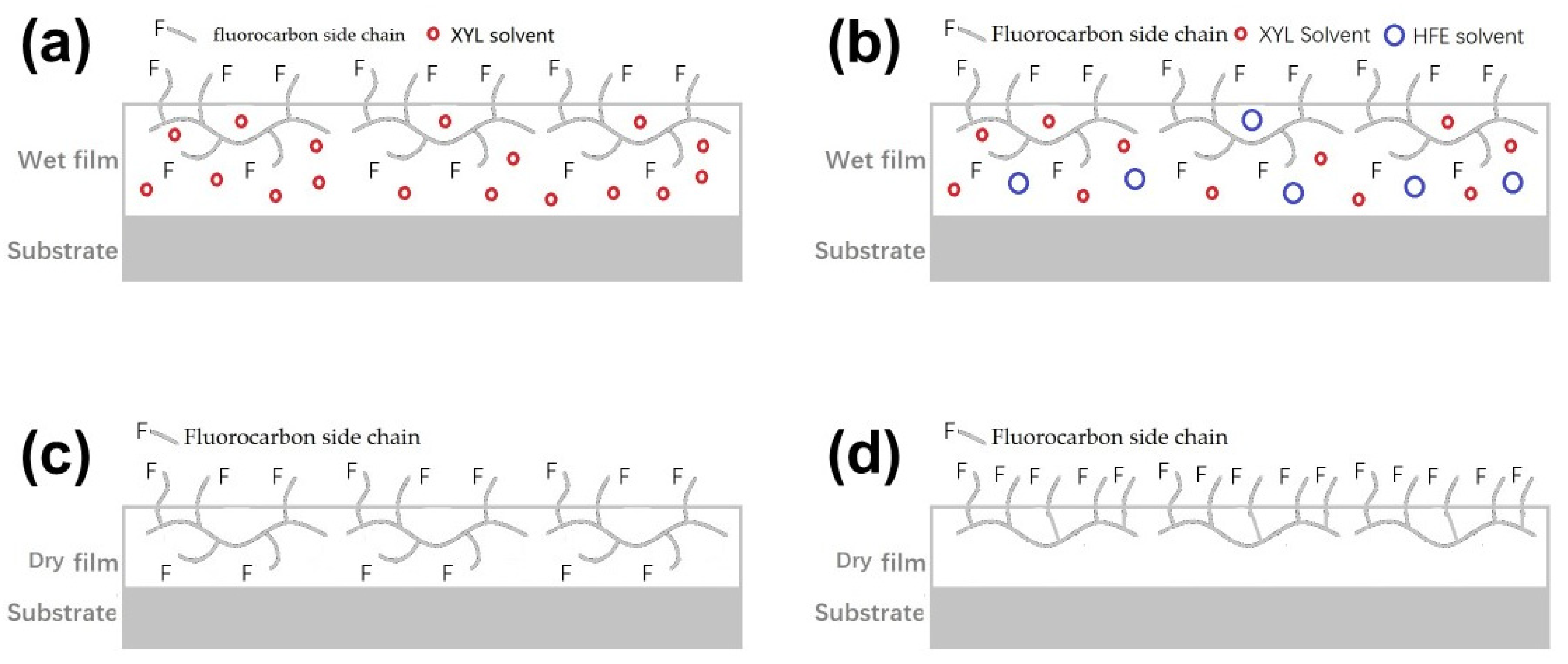 Coatings 13 01394 g002