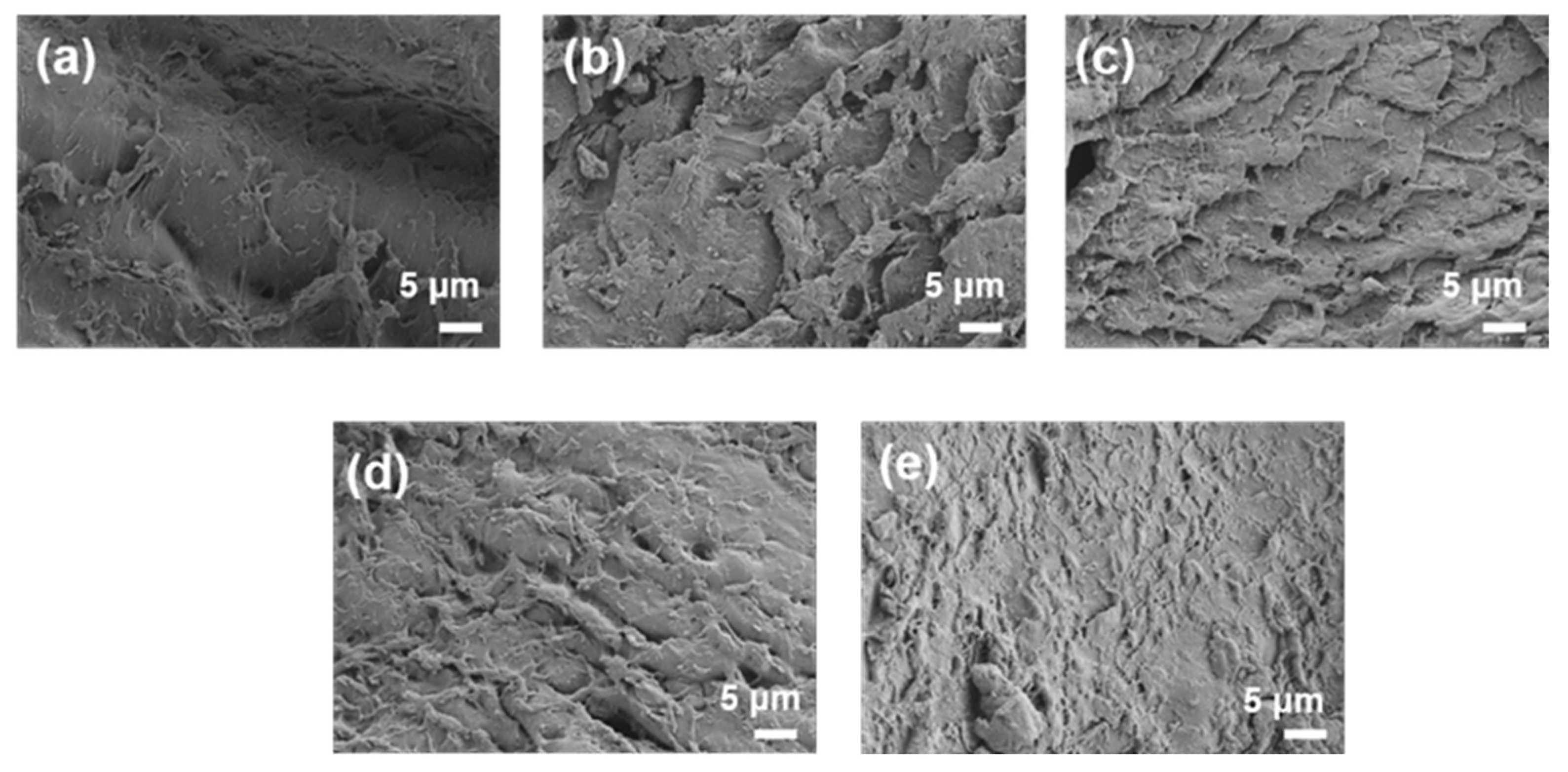 Coatings 13 01394 g012