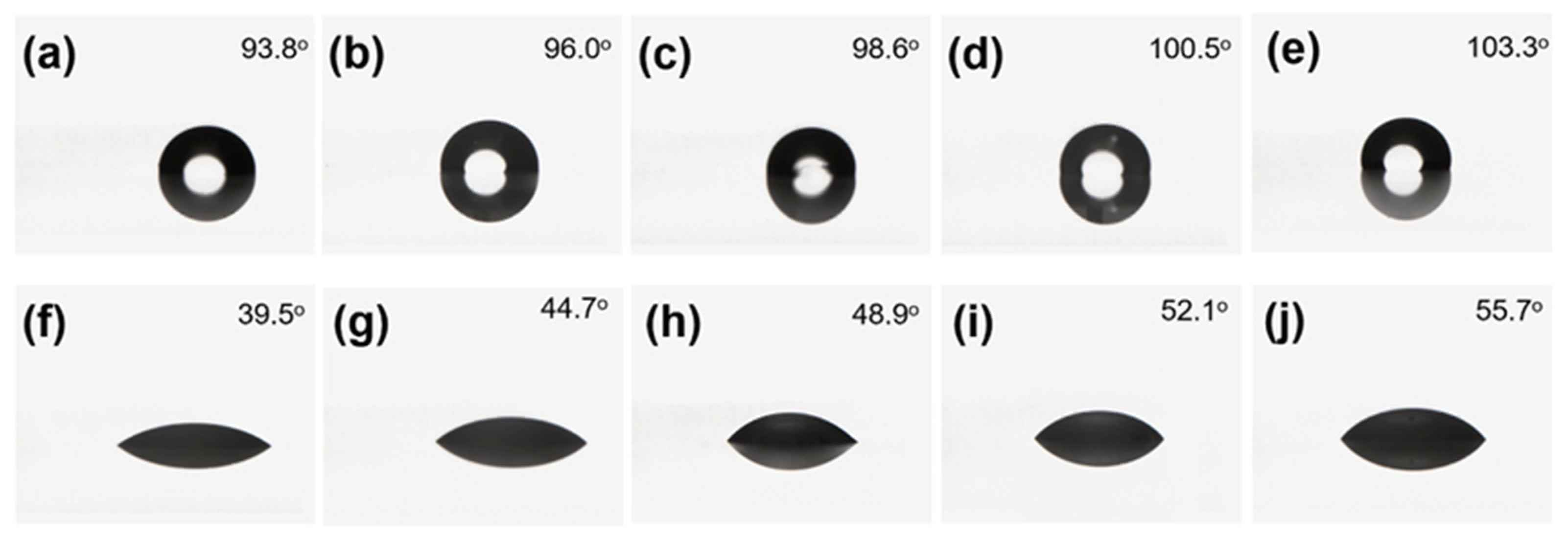 Coatings 13 01394 g015