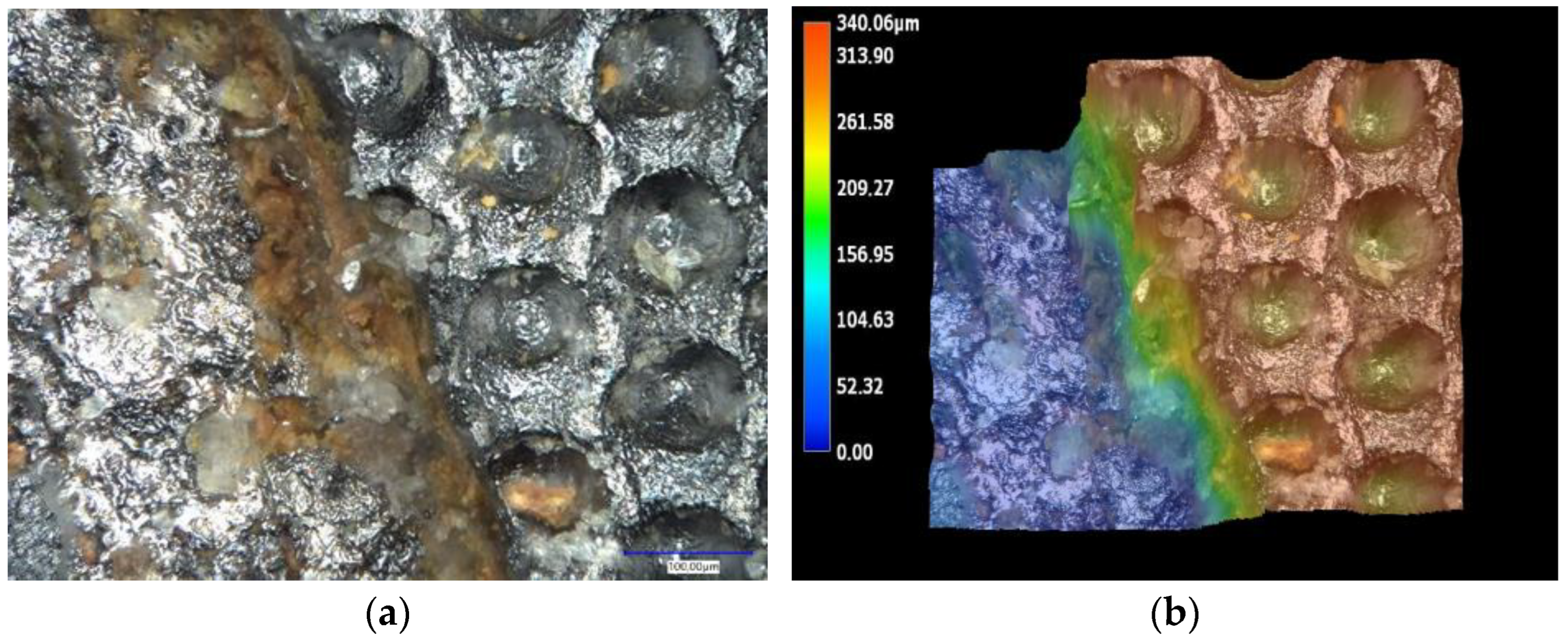 Coatings 13 01398 g004