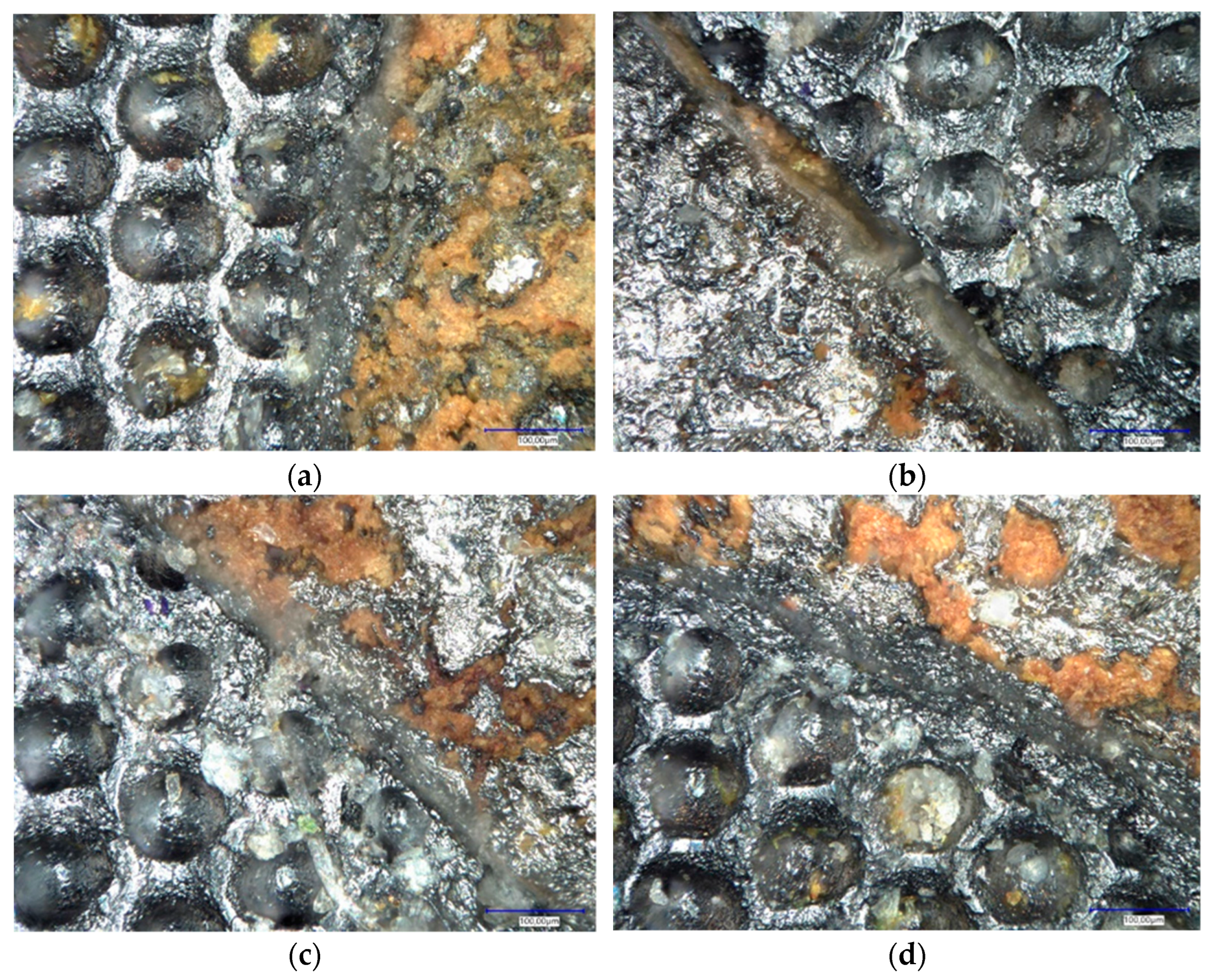Coatings 13 01398 g005