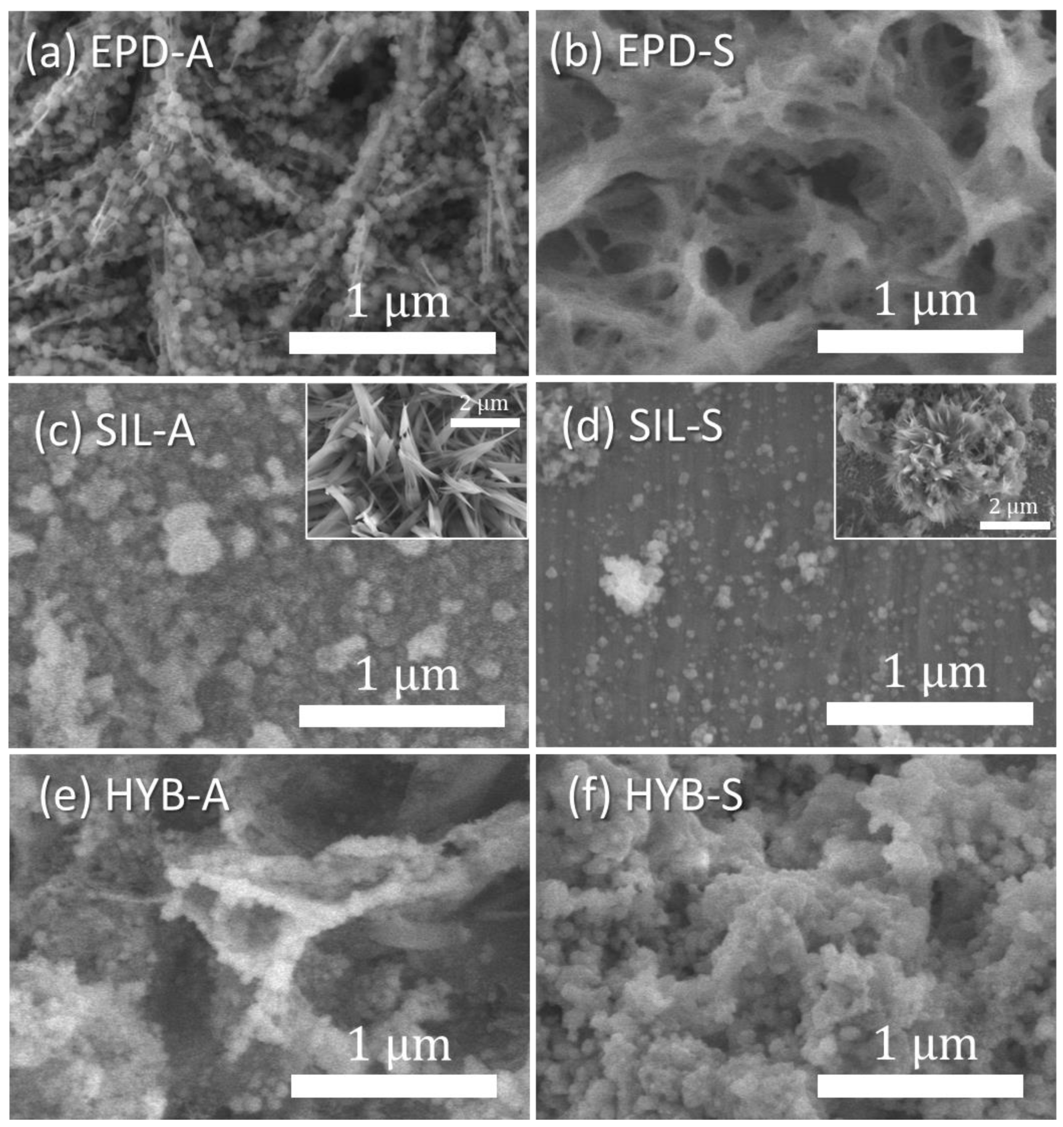Coatings 13 01403 g001