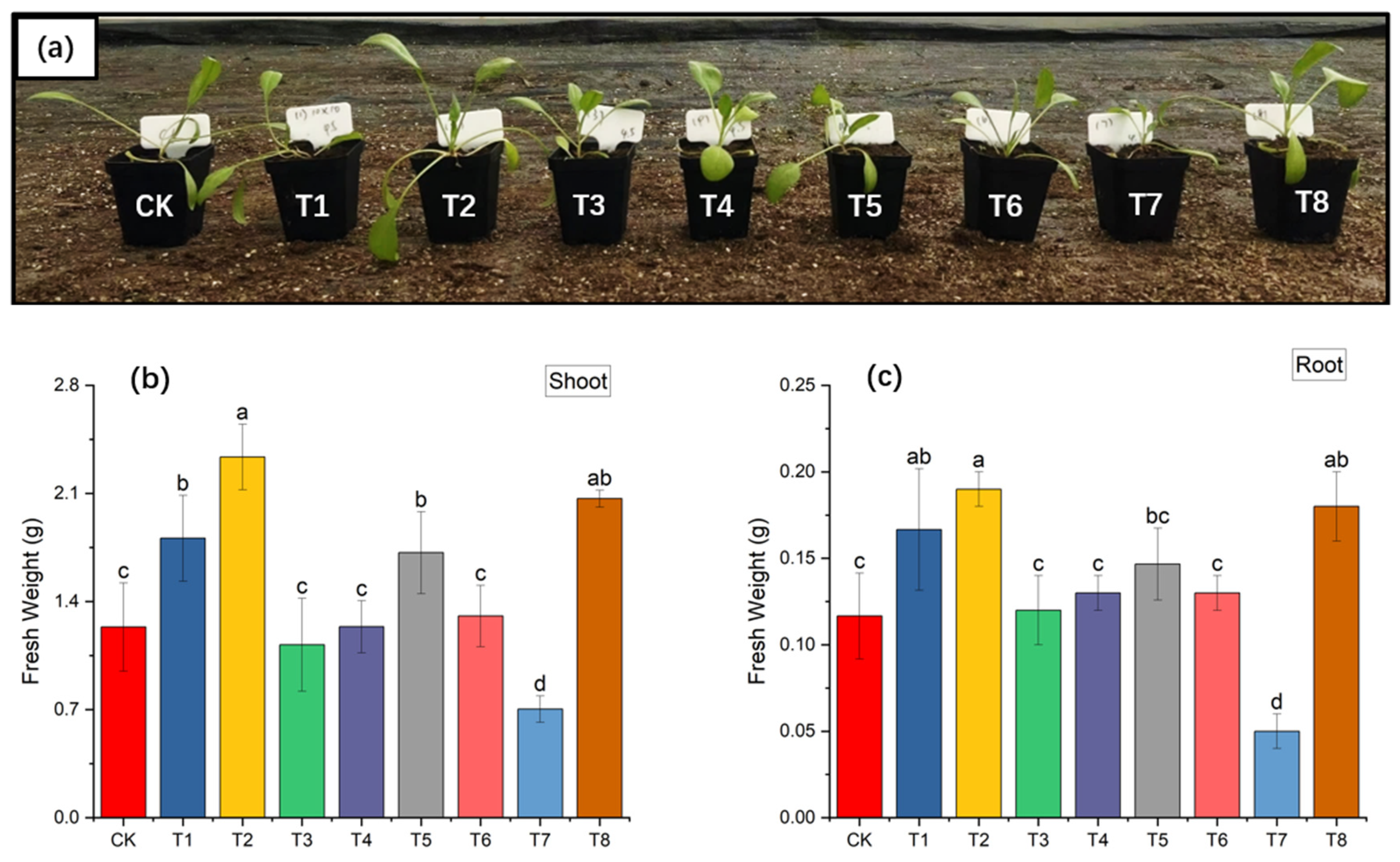 Coatings 13 01404 g002