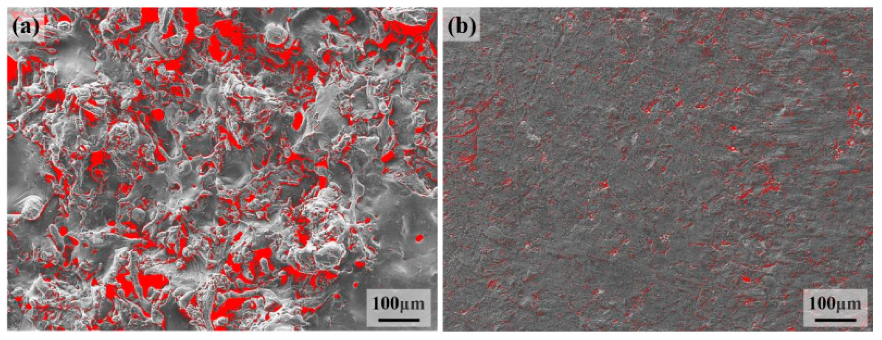 Coatings 13 01406 g006
