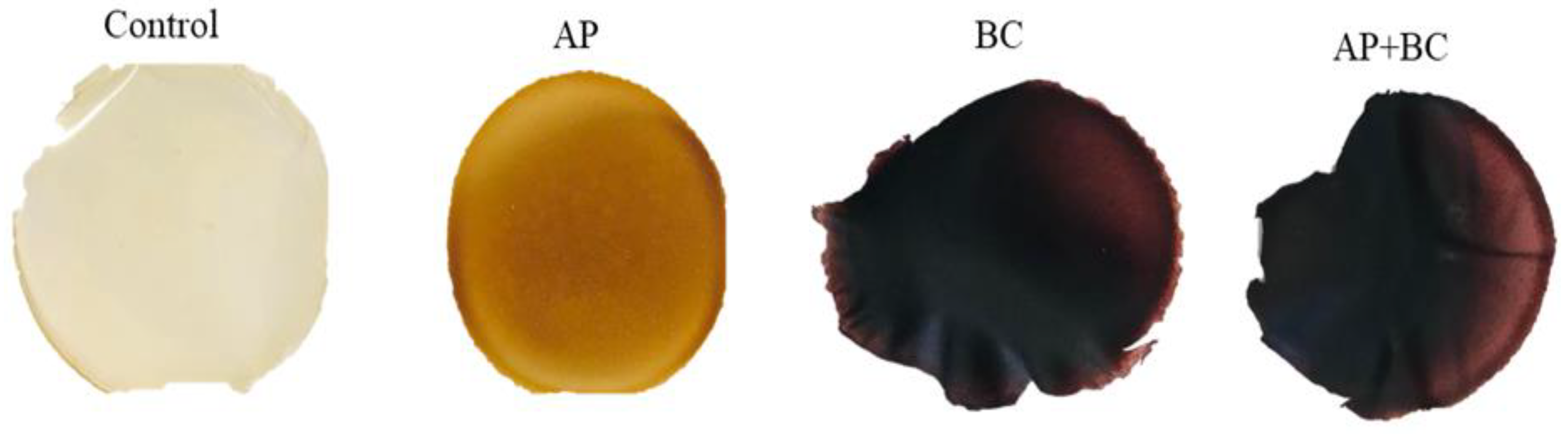 Coatings 13 01409 g003