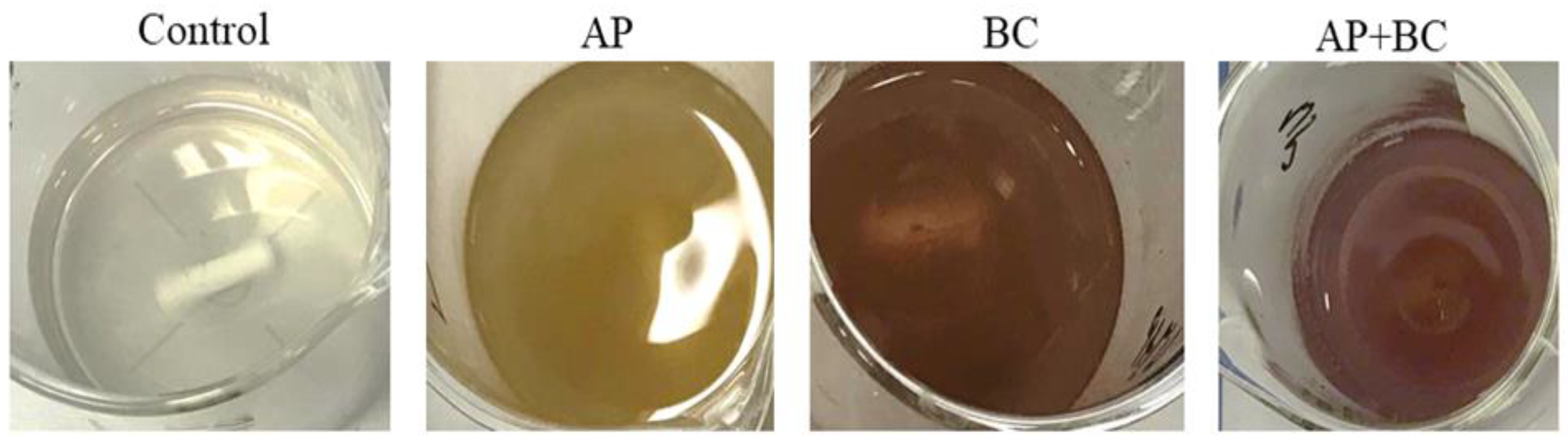 Coatings 13 01409 g004