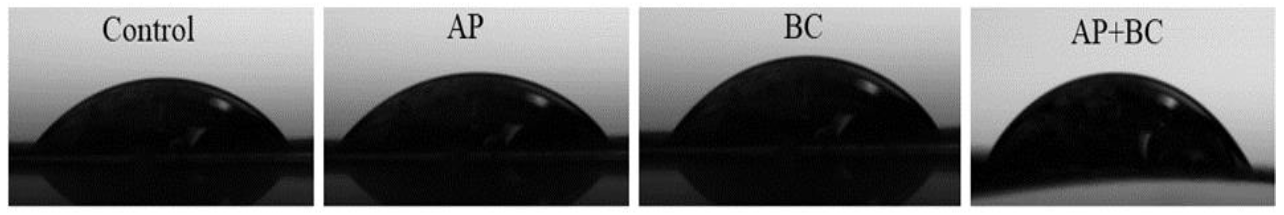 Coatings 13 01409 g005