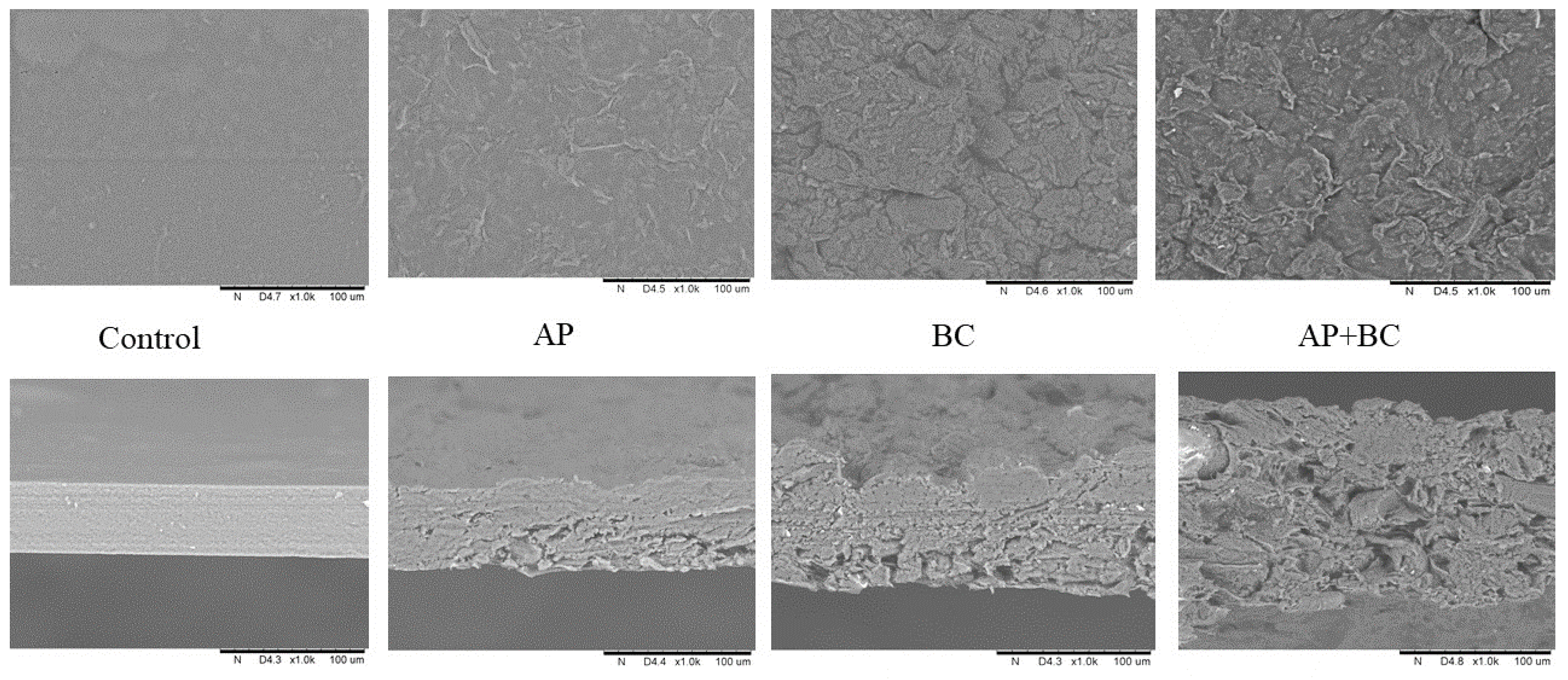 Coatings 13 01409 g007