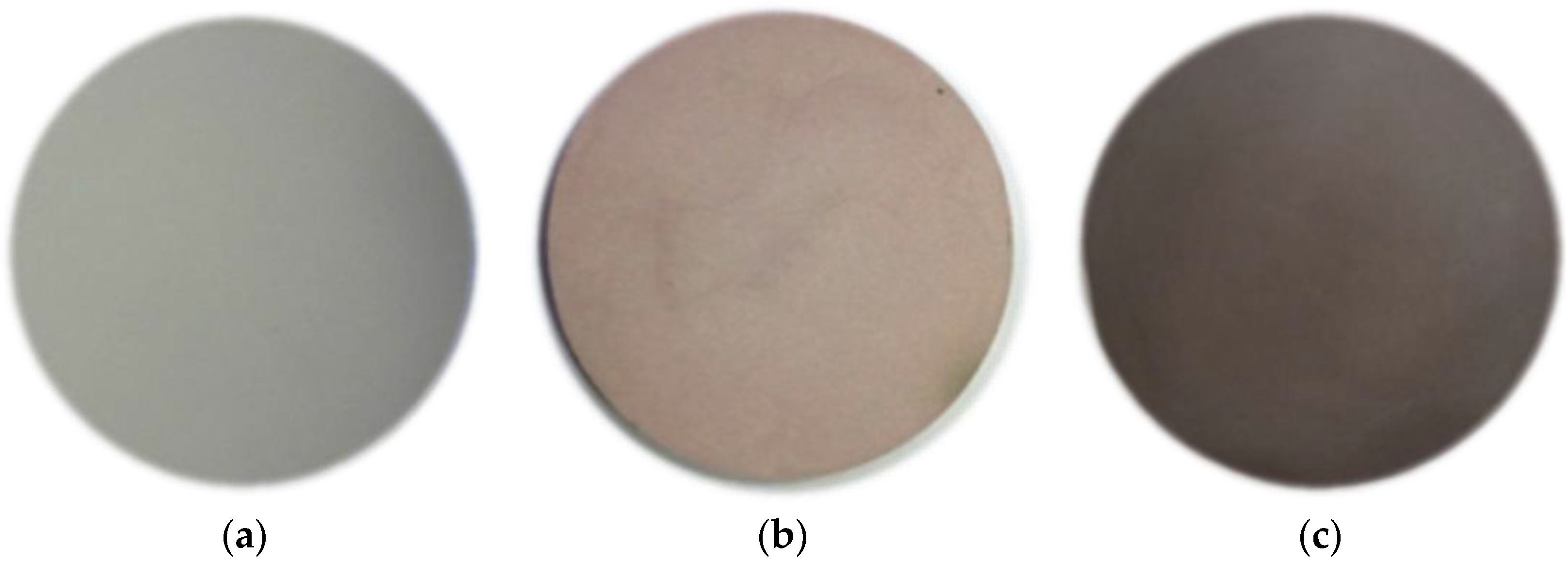 Coatings 13 01410 g004