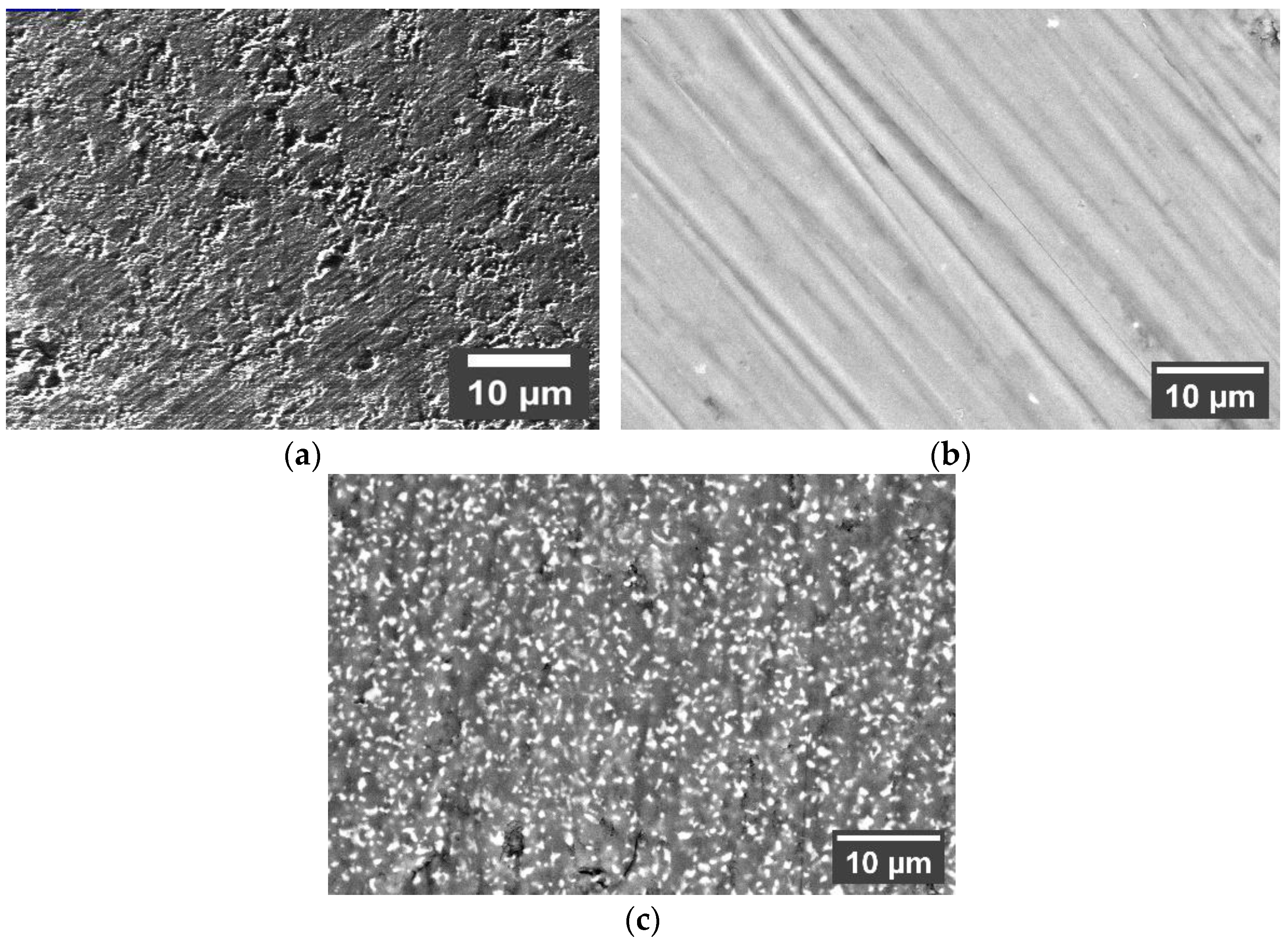Coatings 13 01410 g005