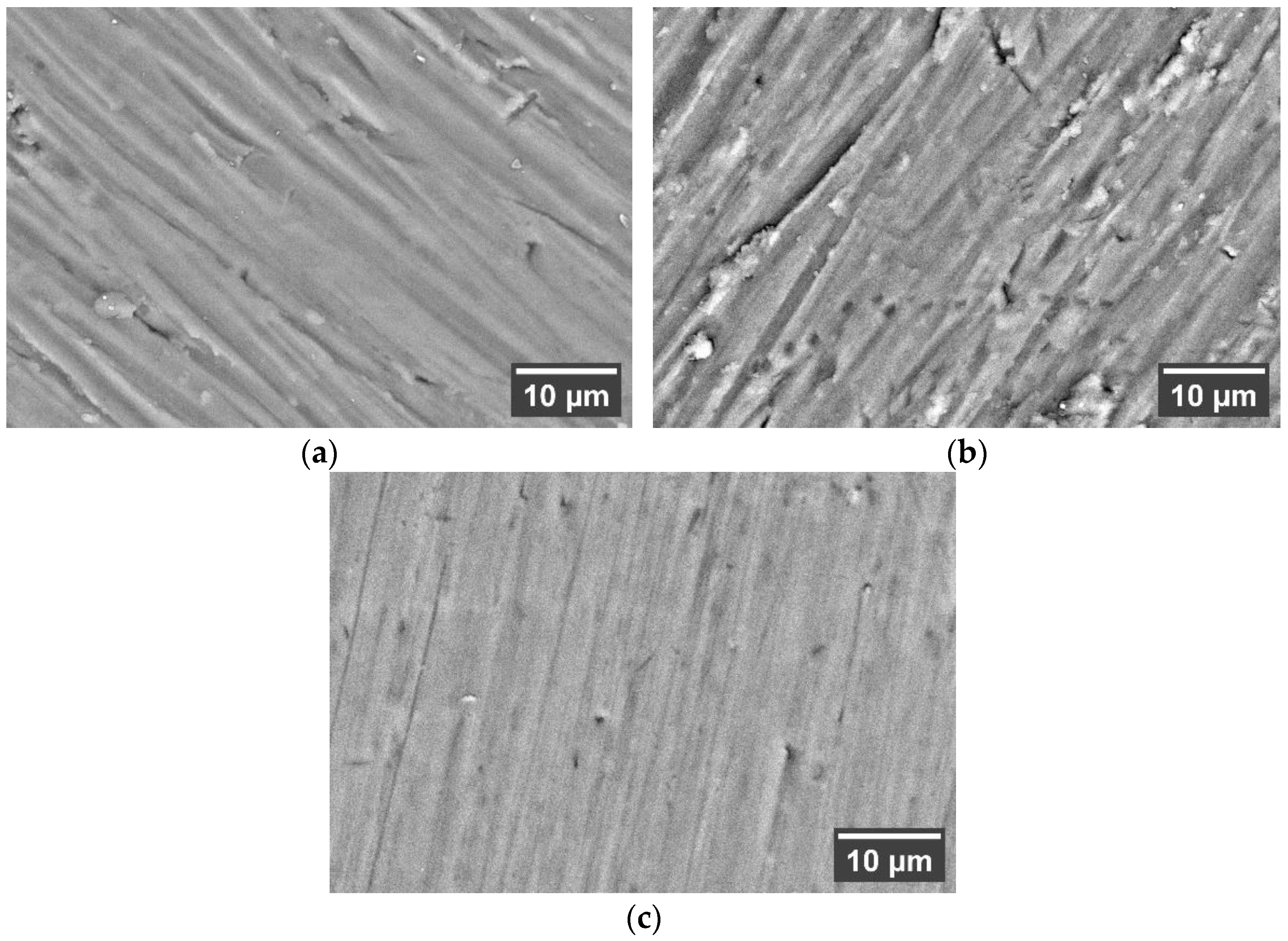 Coatings 13 01410 g008
