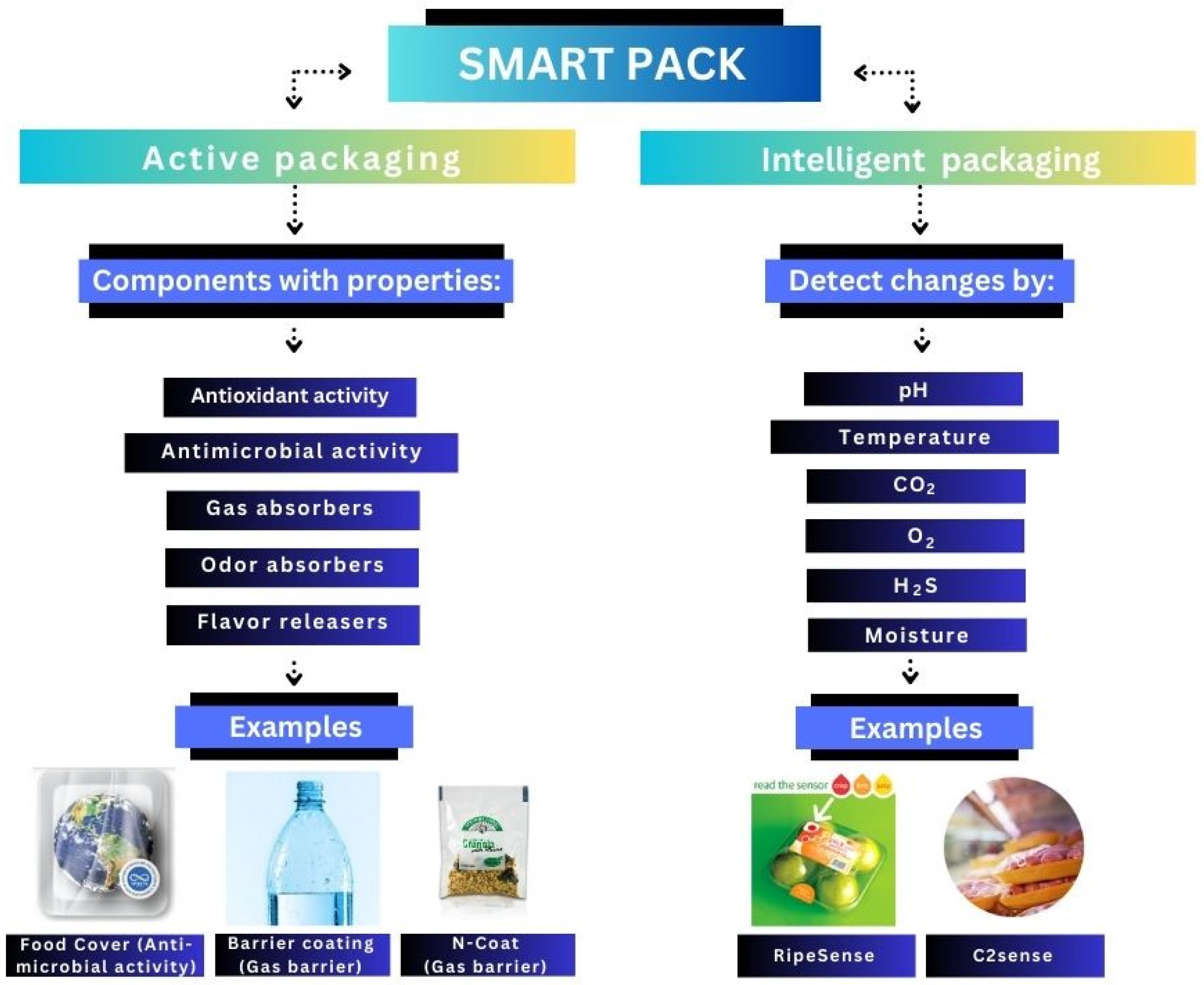 Coatings 13 01411 g001 Coatings 13 01411 g001