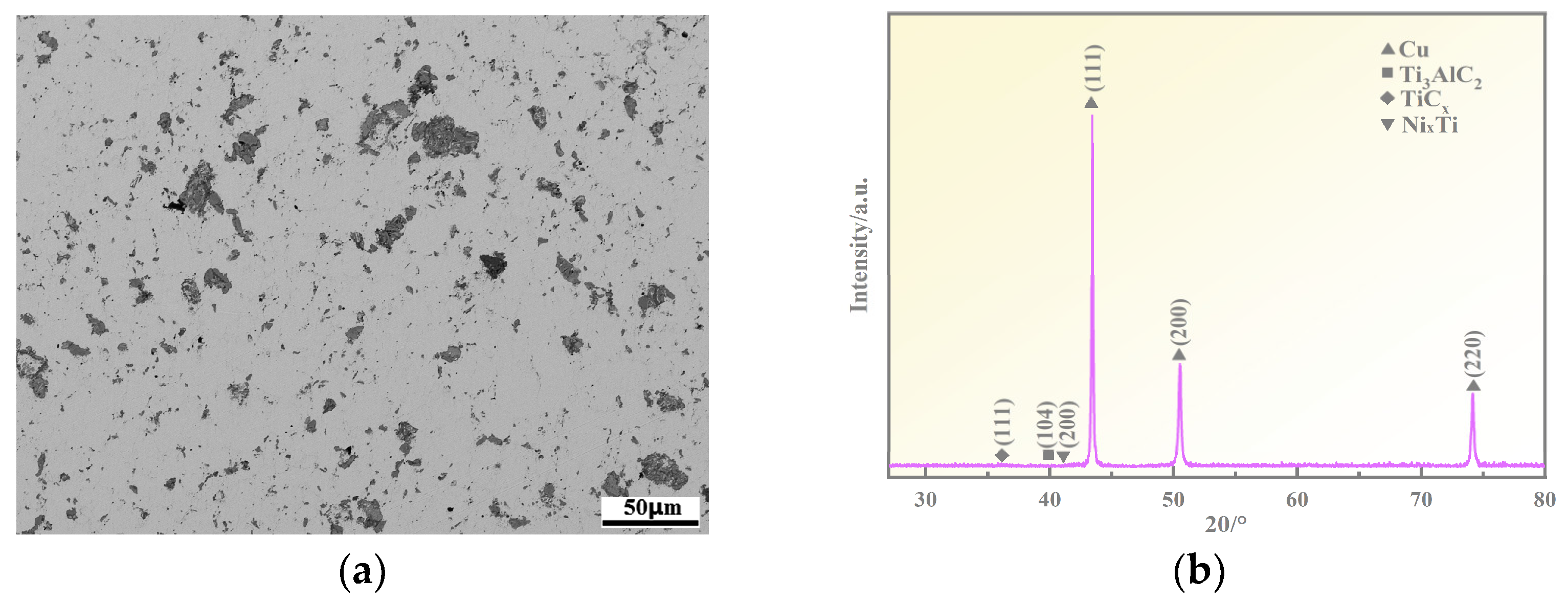 Coatings 13 01414 g002a