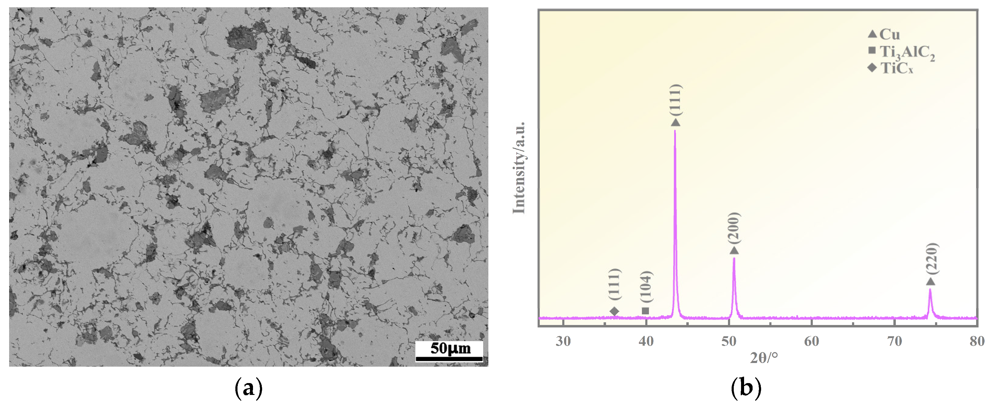 Coatings 13 01414 g003a