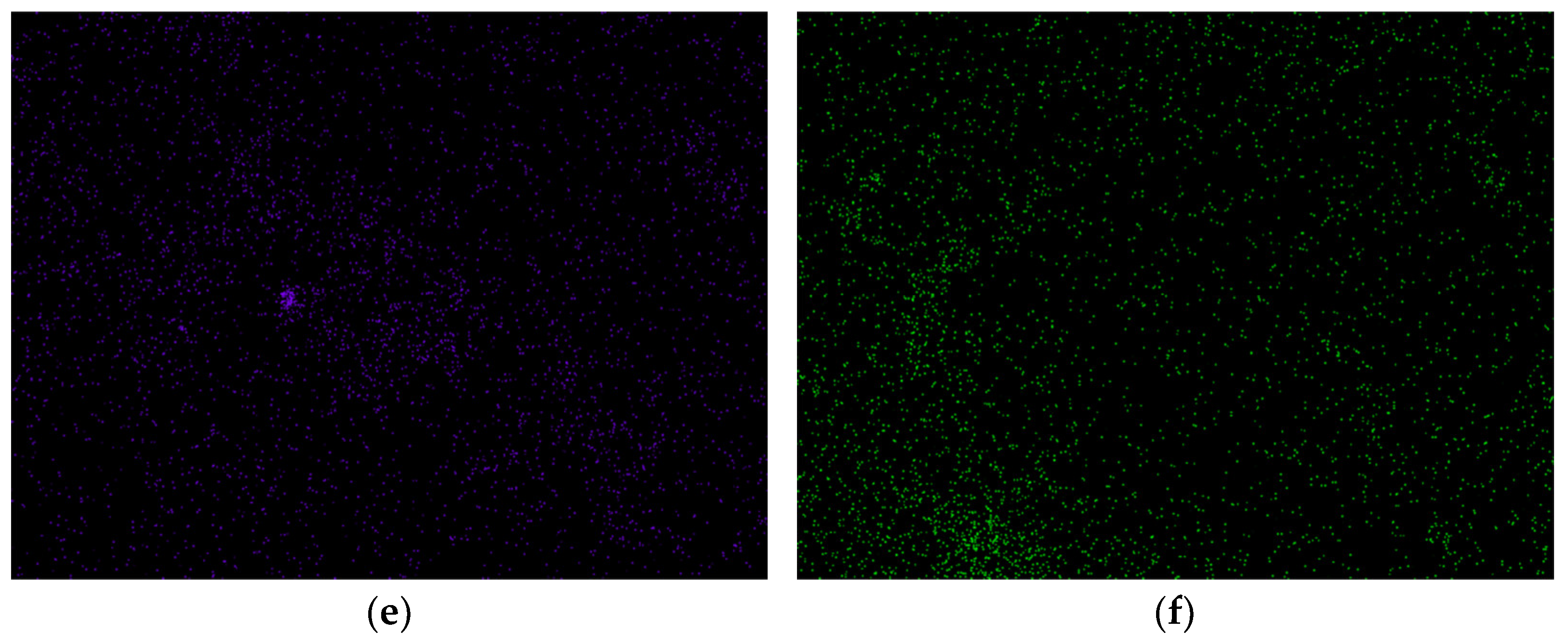 Coatings 13 01414 g005b