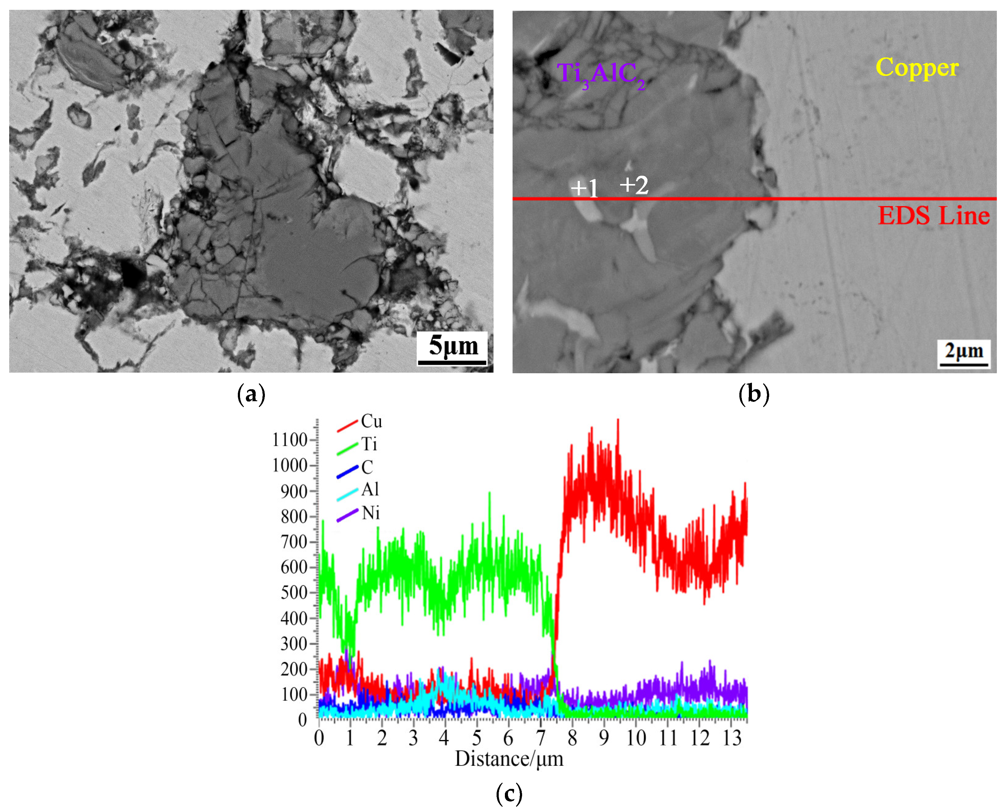 Coatings 13 01414 g009