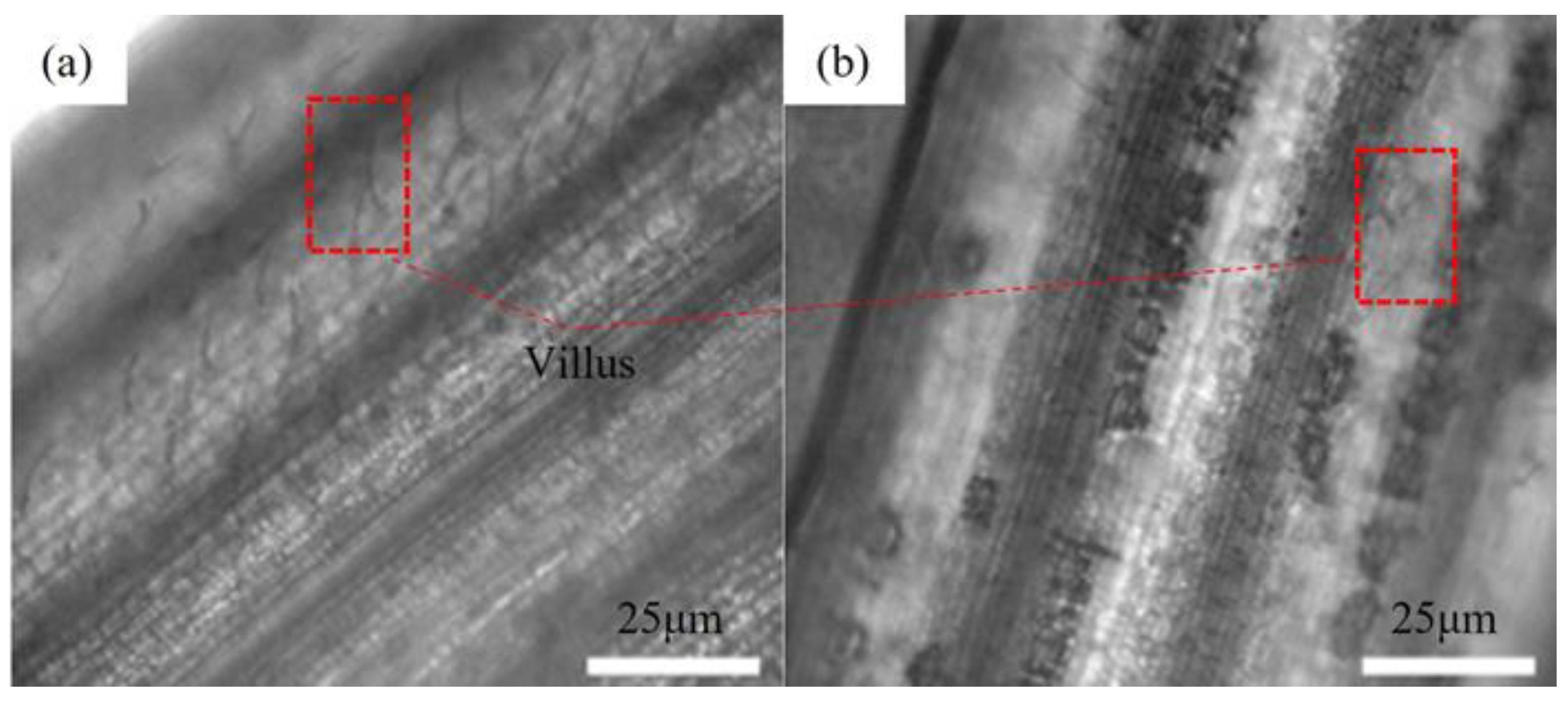 Coatings 13 01415 g006