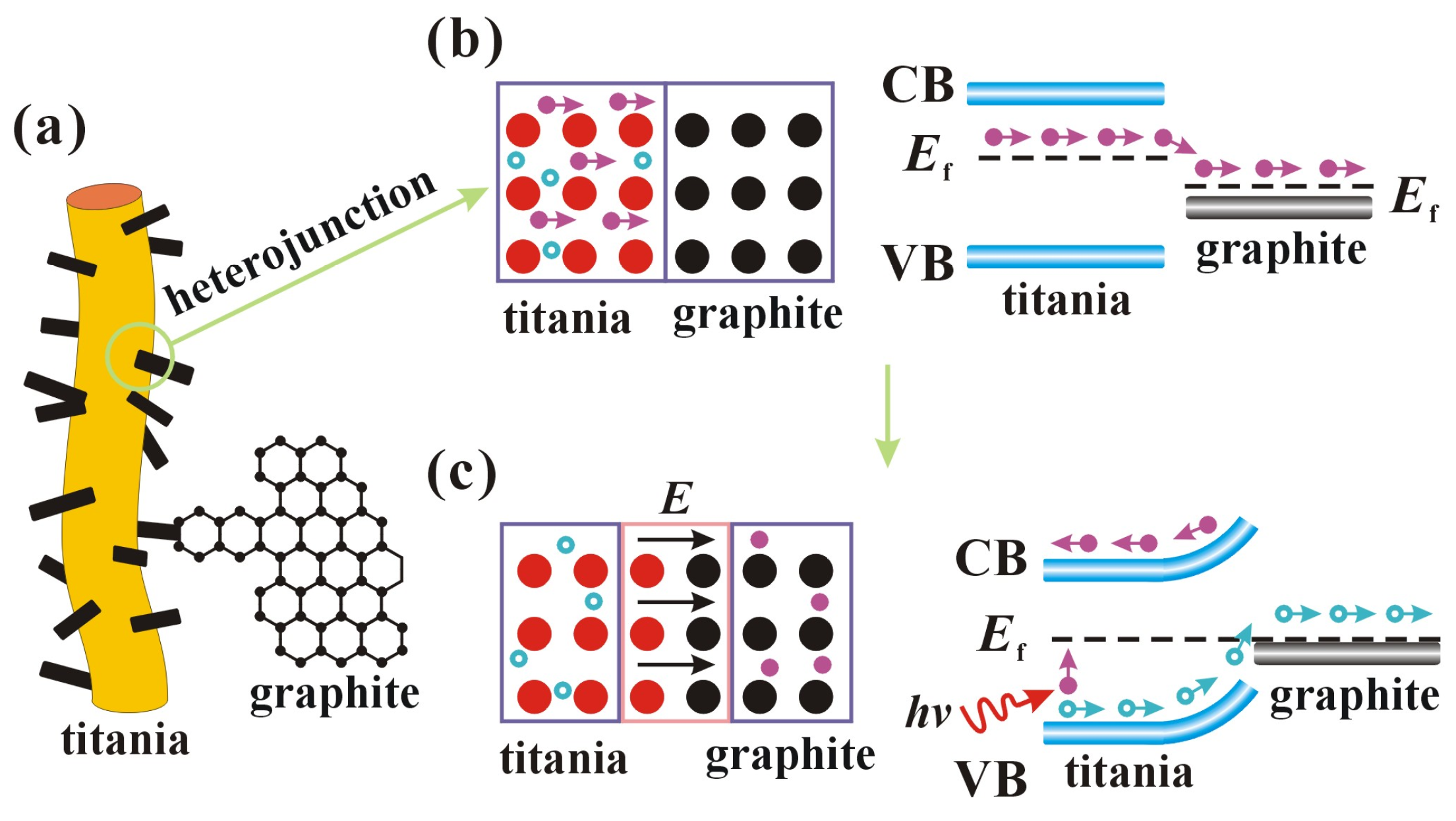 Coatings 13 01422 g013