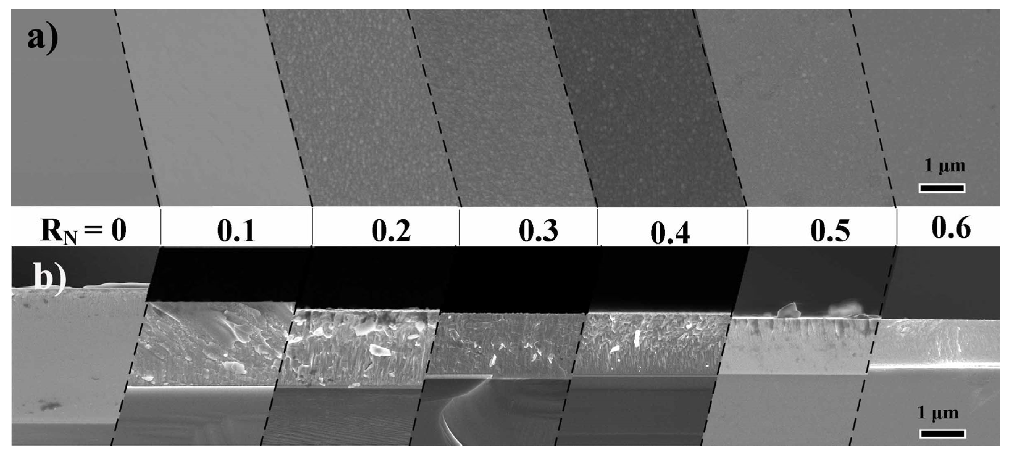 Coatings 13 01424 g004 Coatings 13 01424 g004