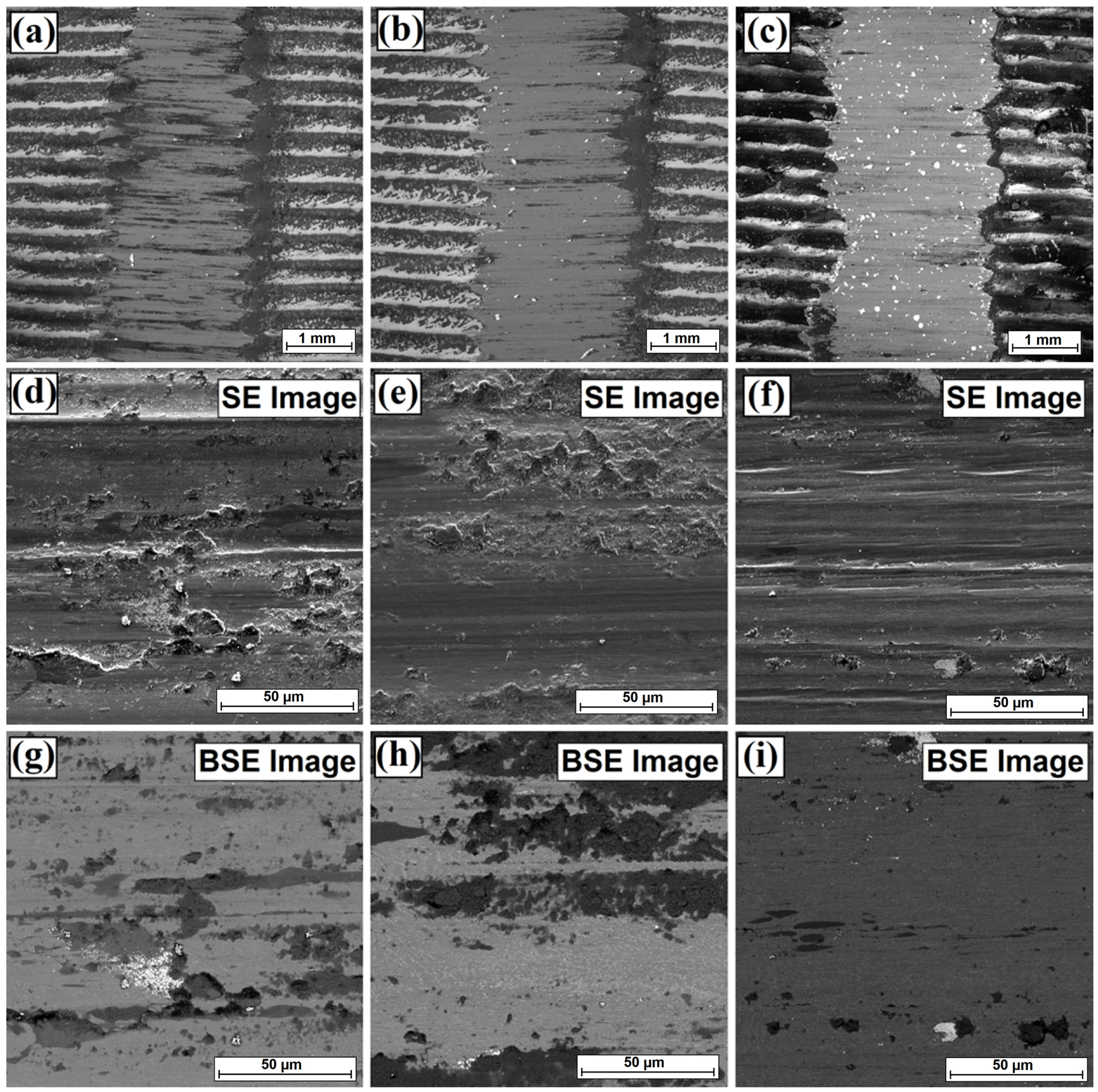 Coatings 13 01432 g013