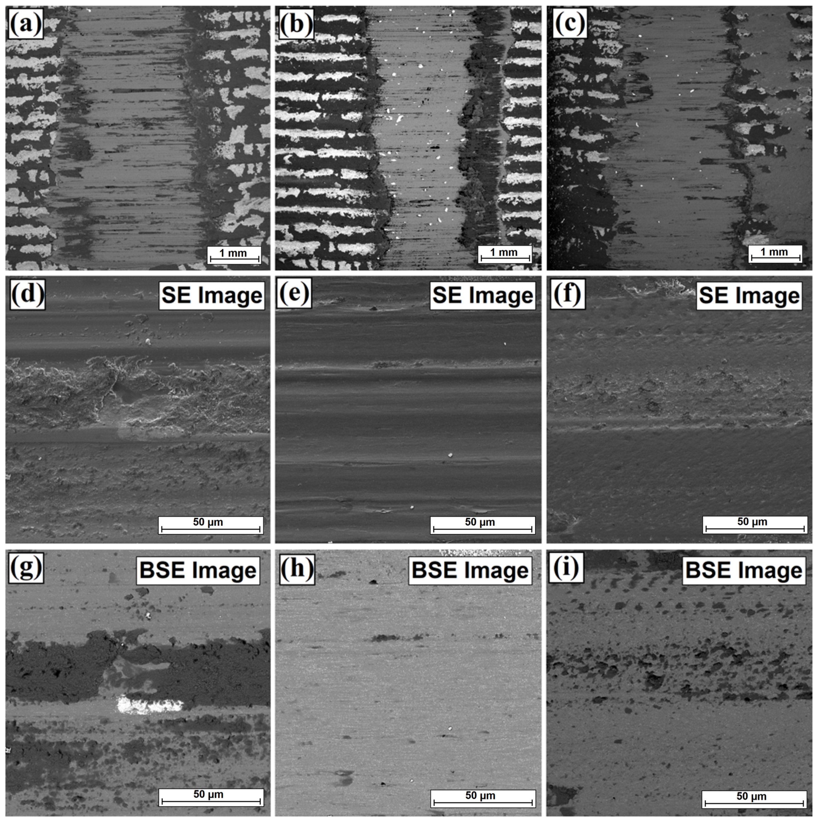 Coatings 13 01432 g014