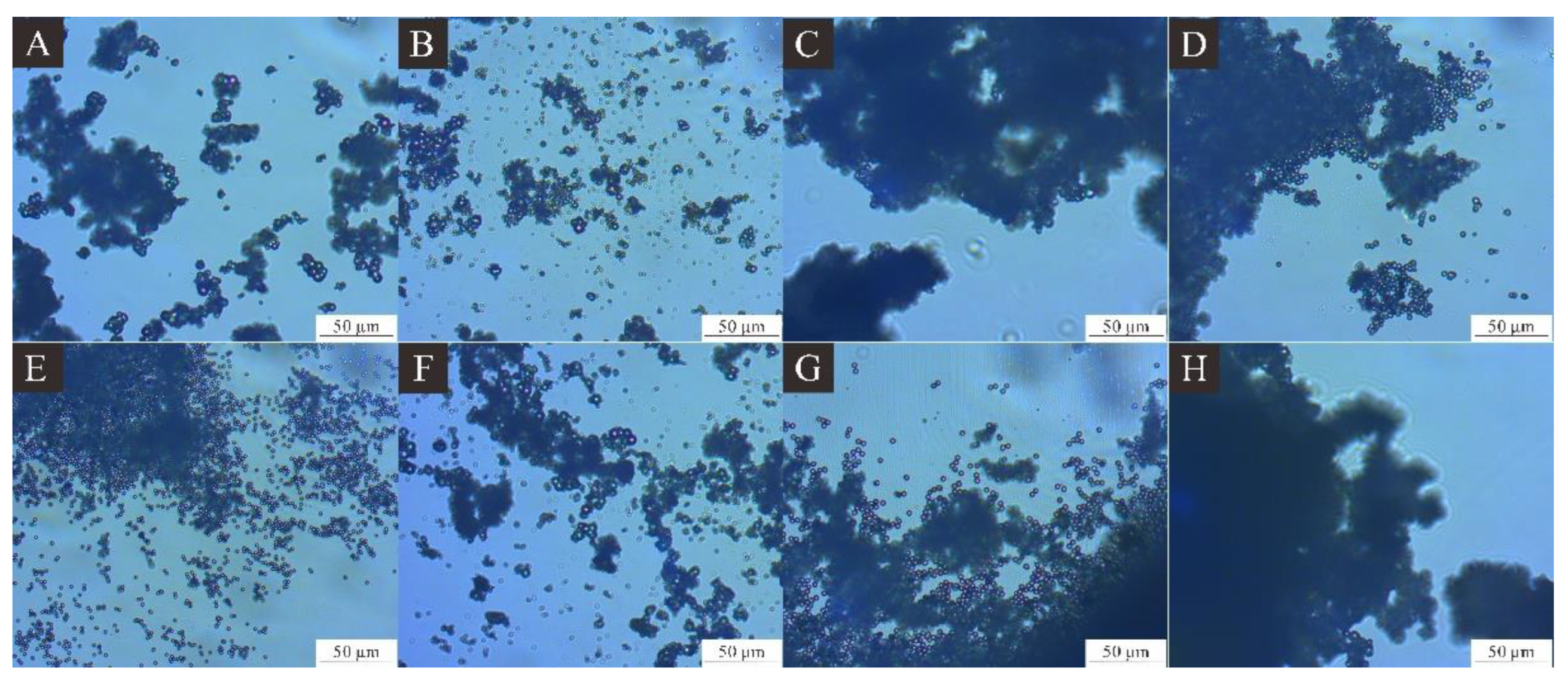 Coatings 13 01433 g004