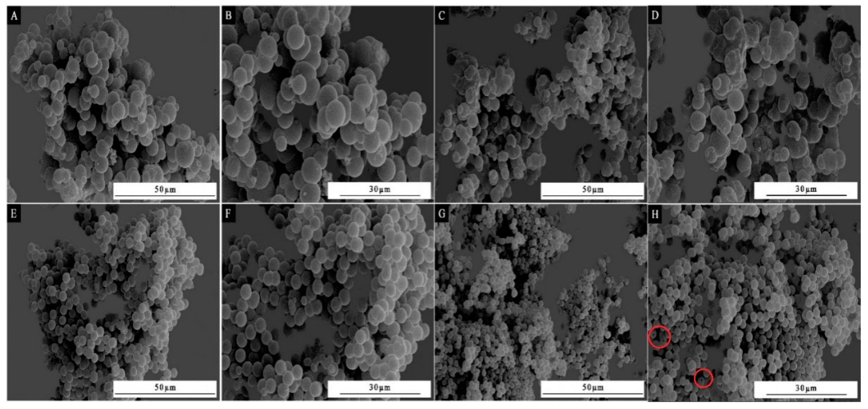 Coatings 13 01433 g005