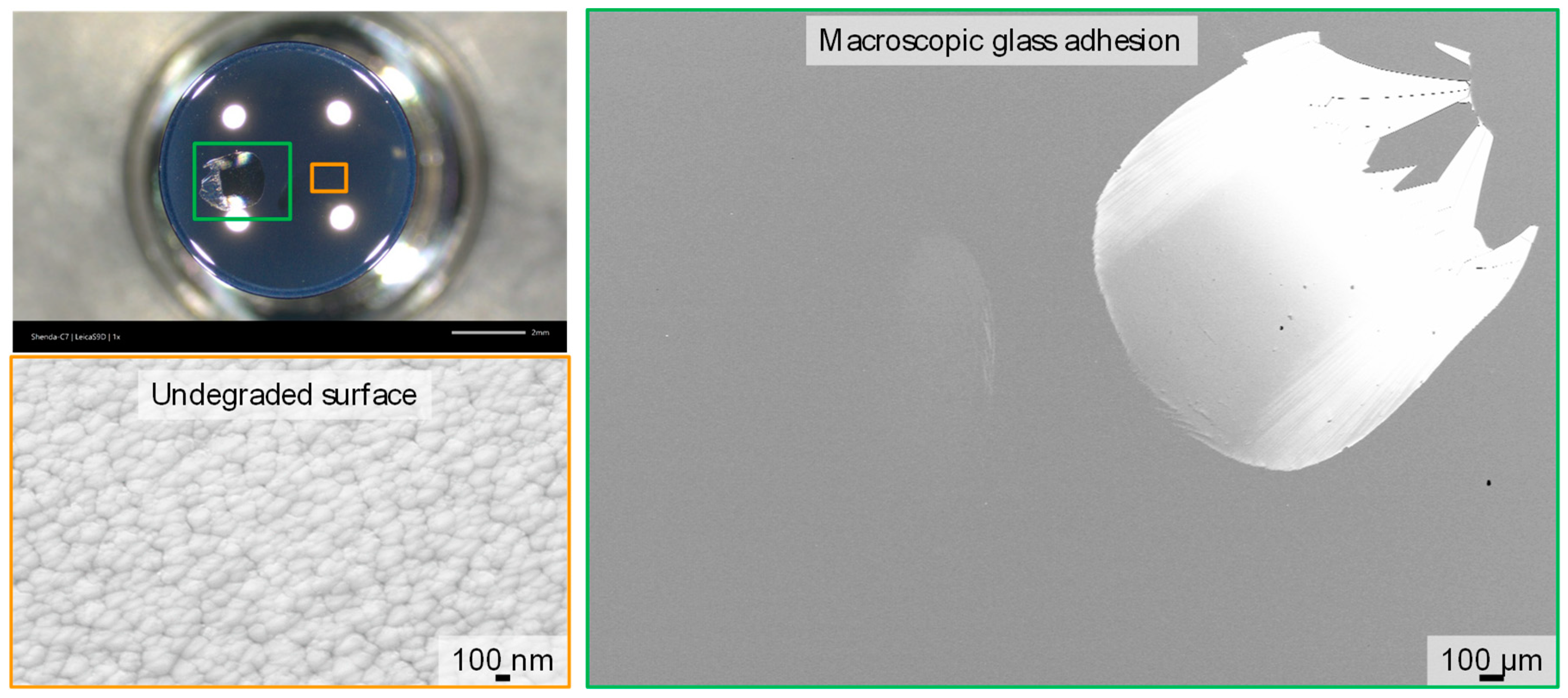 Coatings 13 01438 g007