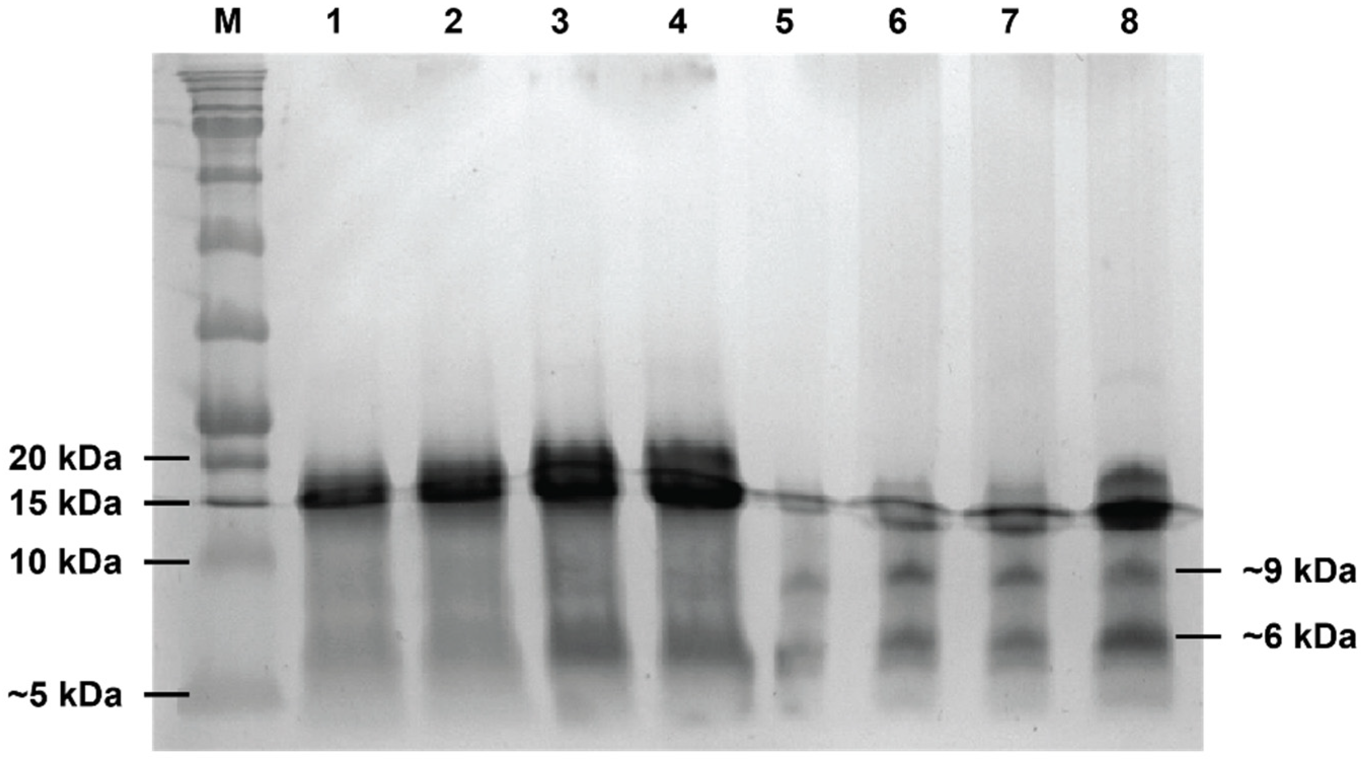Coatings 13 01439 g003