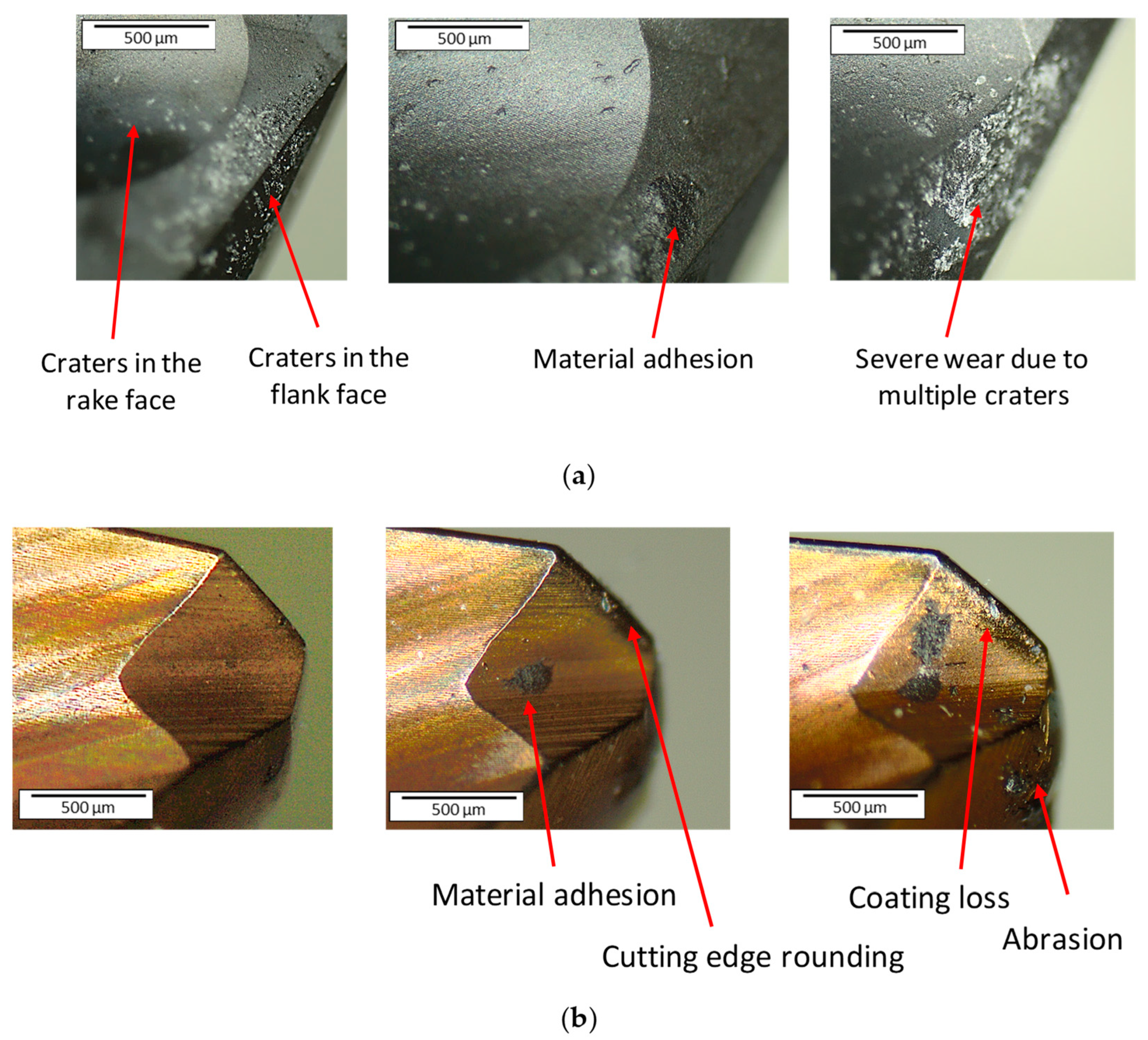 Coatings 13 01440 g009