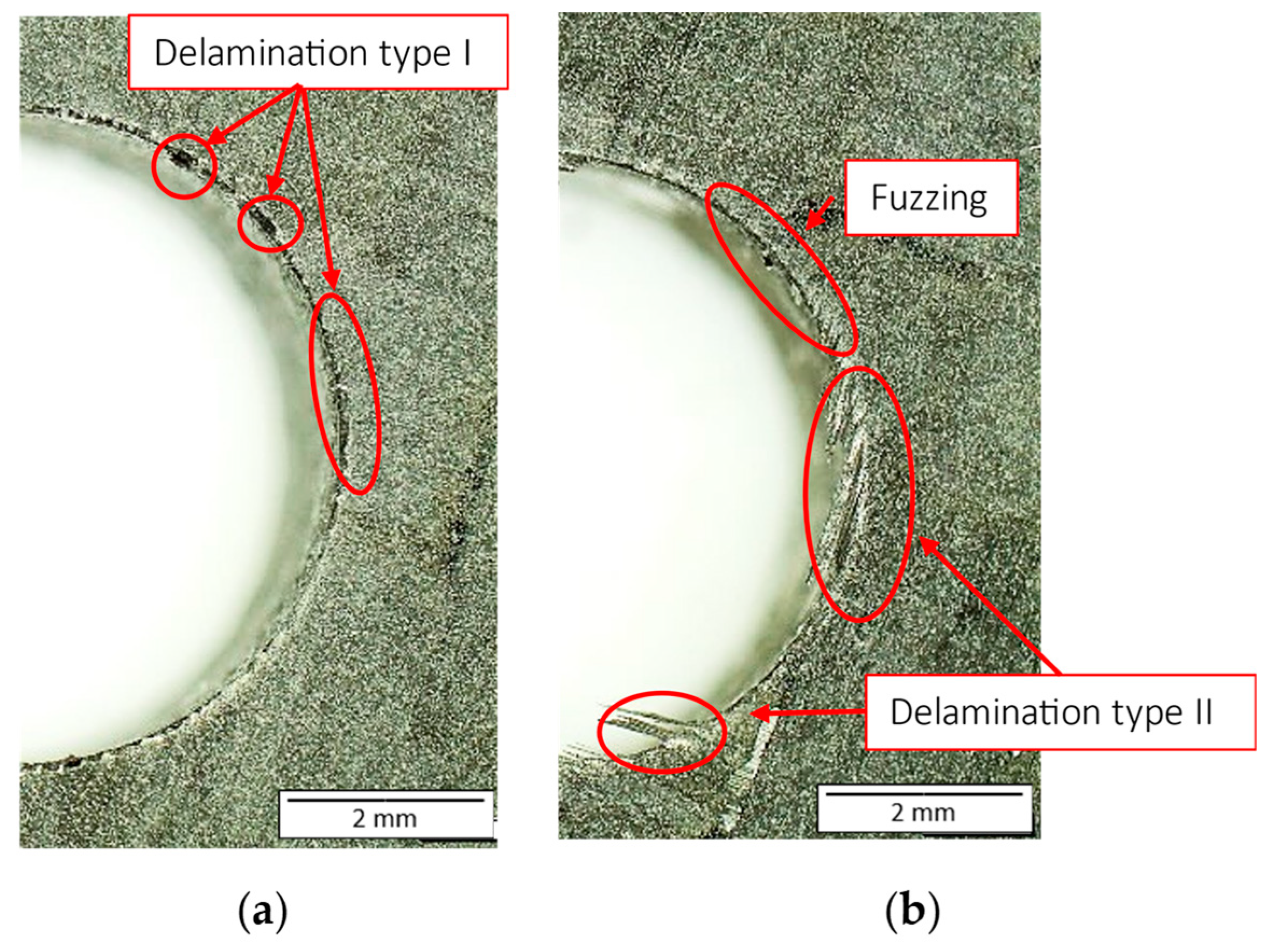 Coatings 13 01440 g011