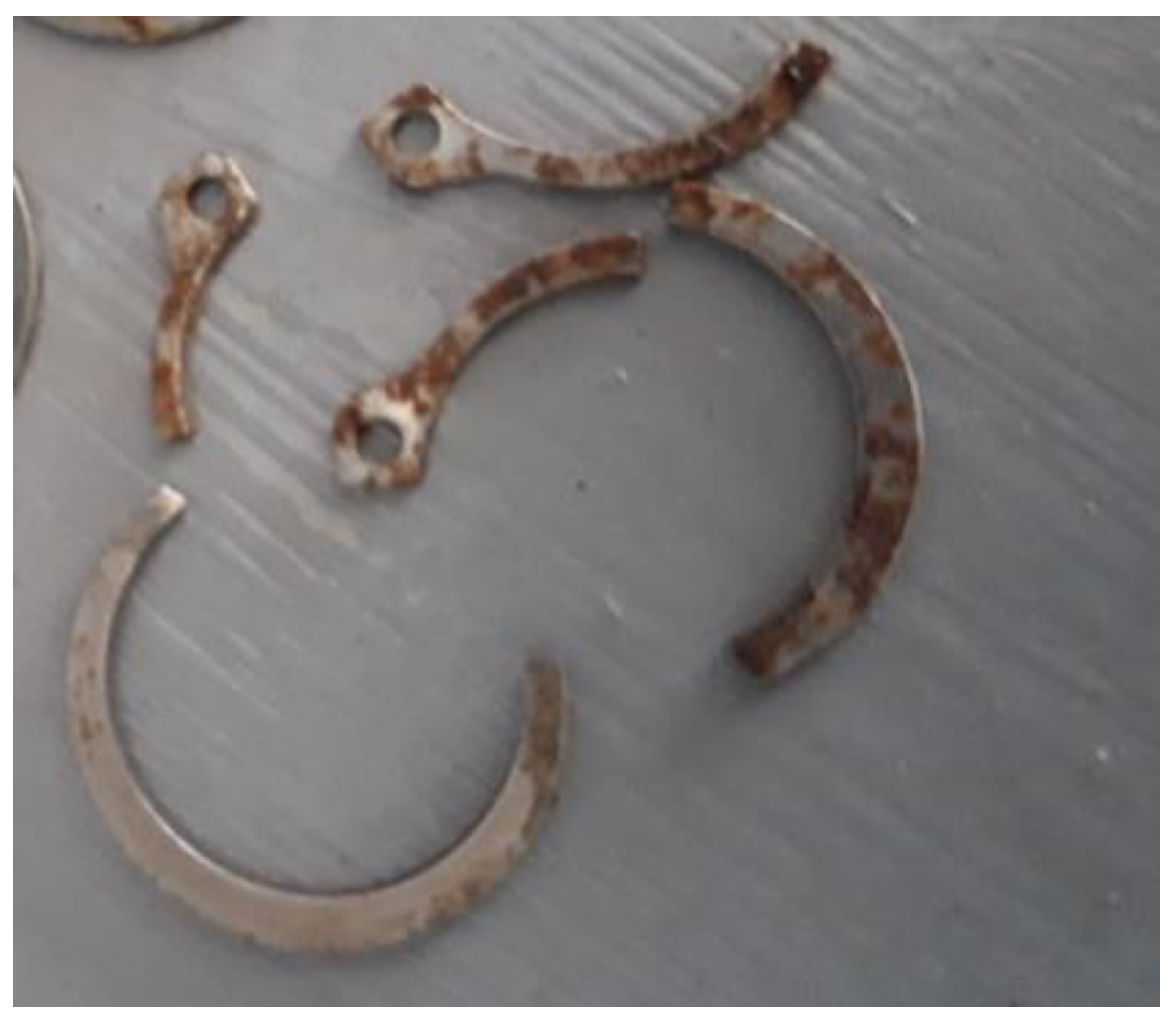 Coatings 13 01443 g006