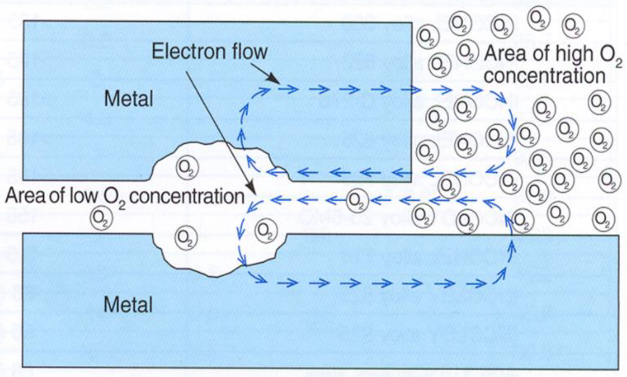 Coatings 13 01443 g008