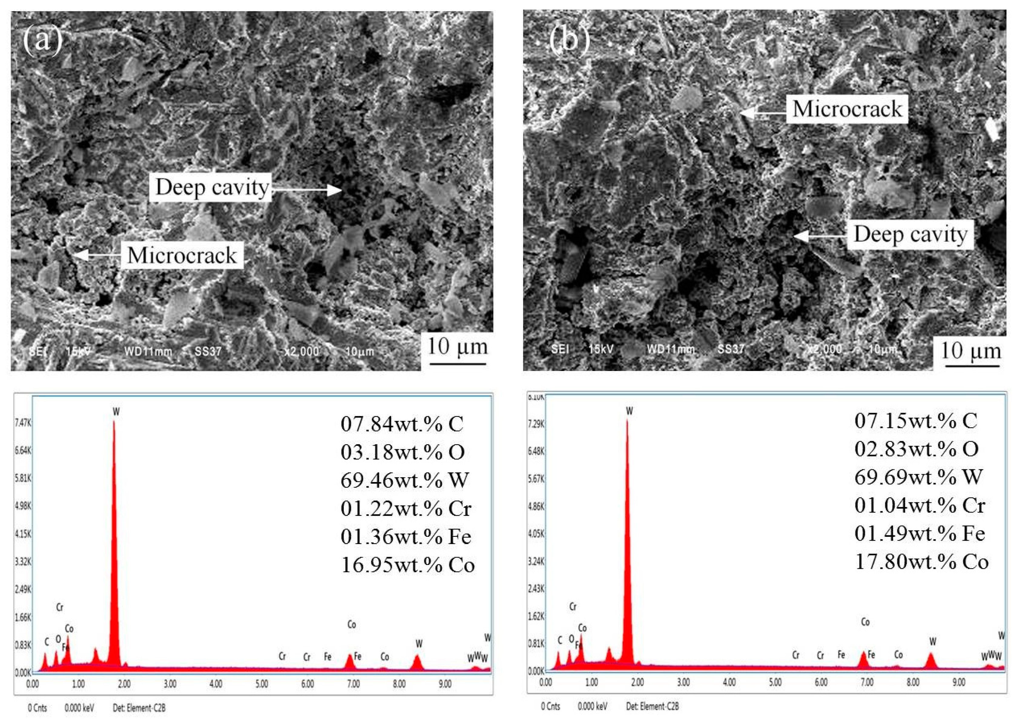 Coatings 13 01444 g008
